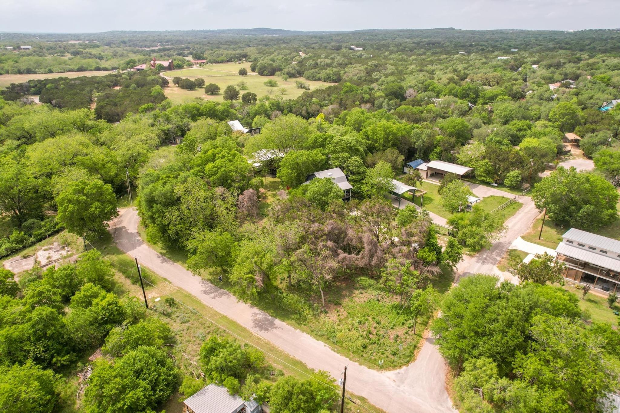 Aerial view of wooded homes and curving roads in a residential area.