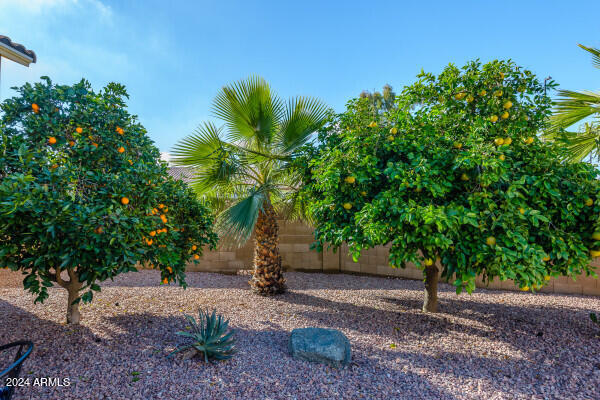 1568 E San Remo Avenue