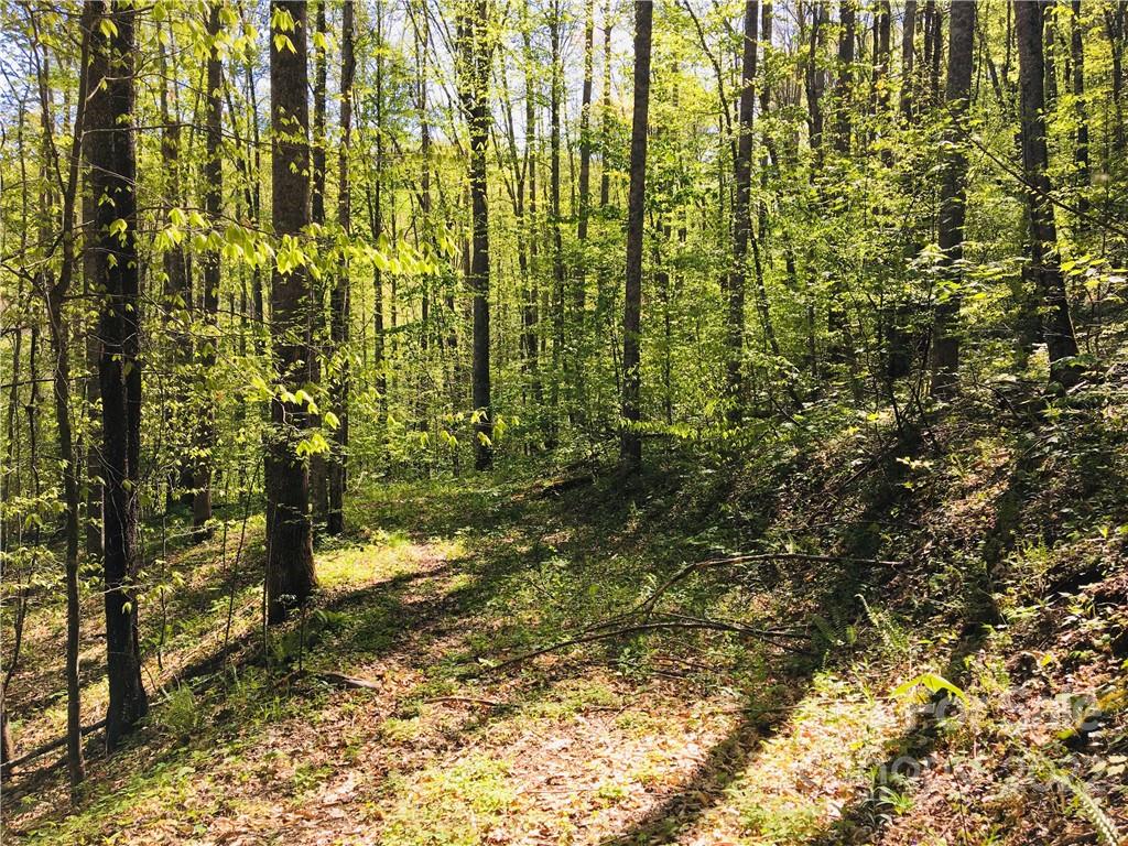 19 Trillium Lane Unit: 19