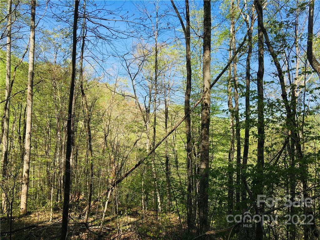 19 Trillium Lane Unit: 19