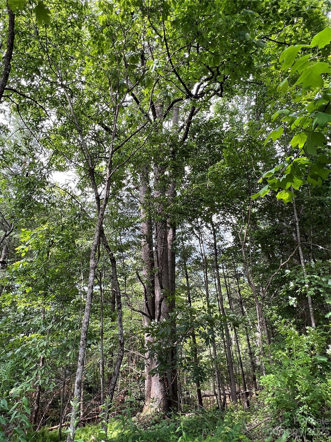 000 Crabtree Woods Road Unit: 11, 20,21,22,23