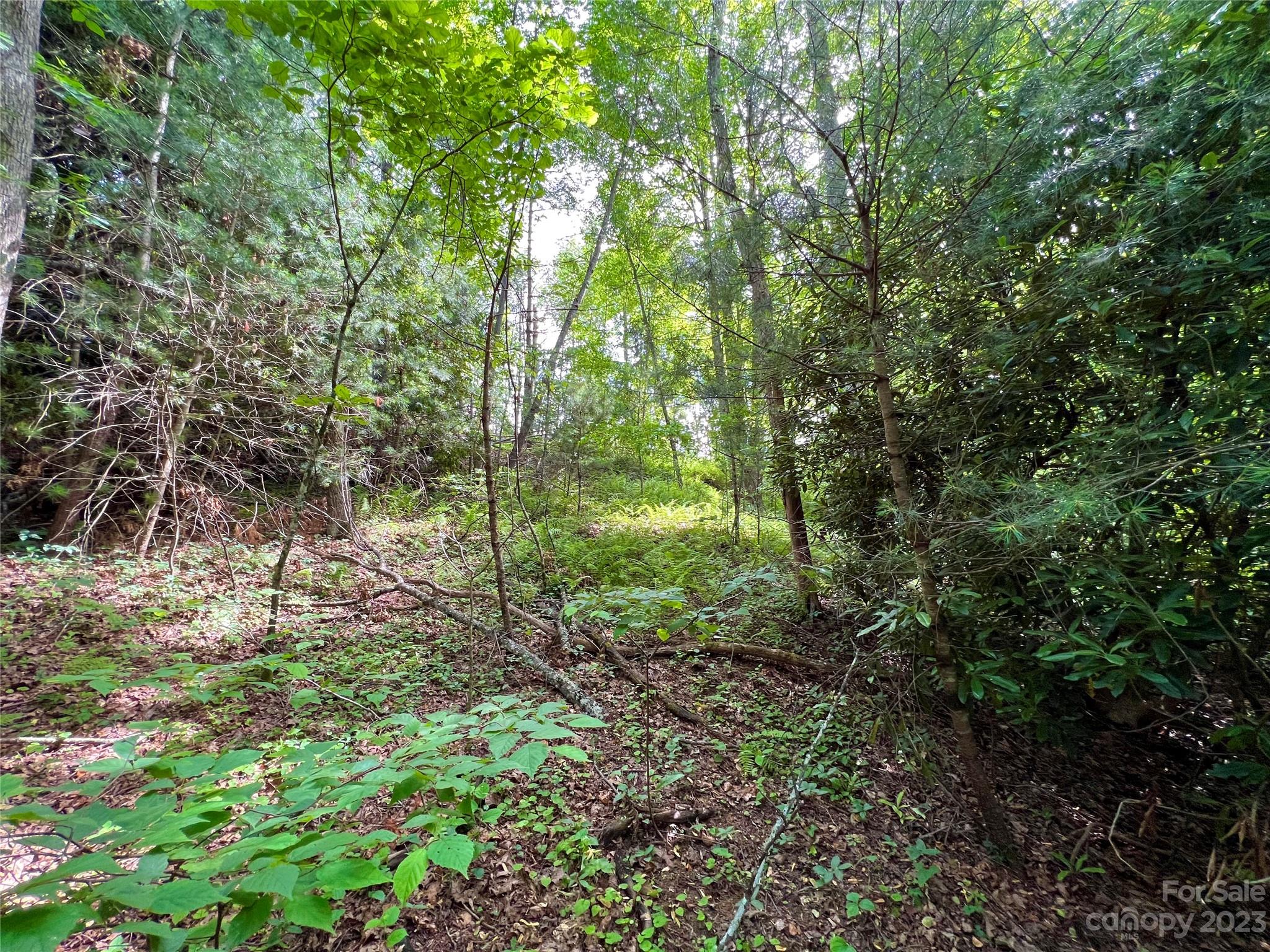 000 Crabtree Woods Road Unit: 11, 20,21,22,23