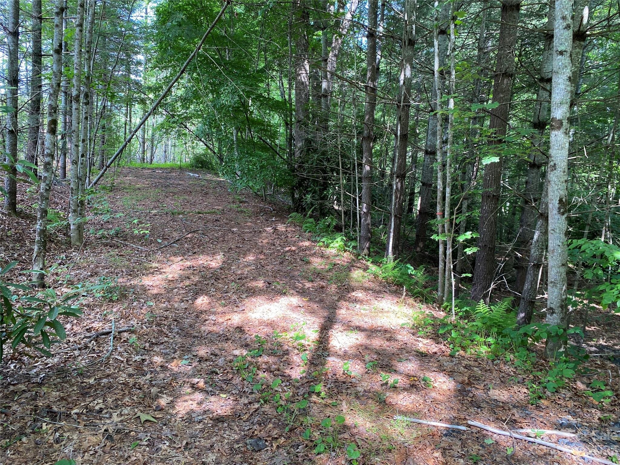 000 Crabtree Woods Road Unit: 11, 20,21,22,23