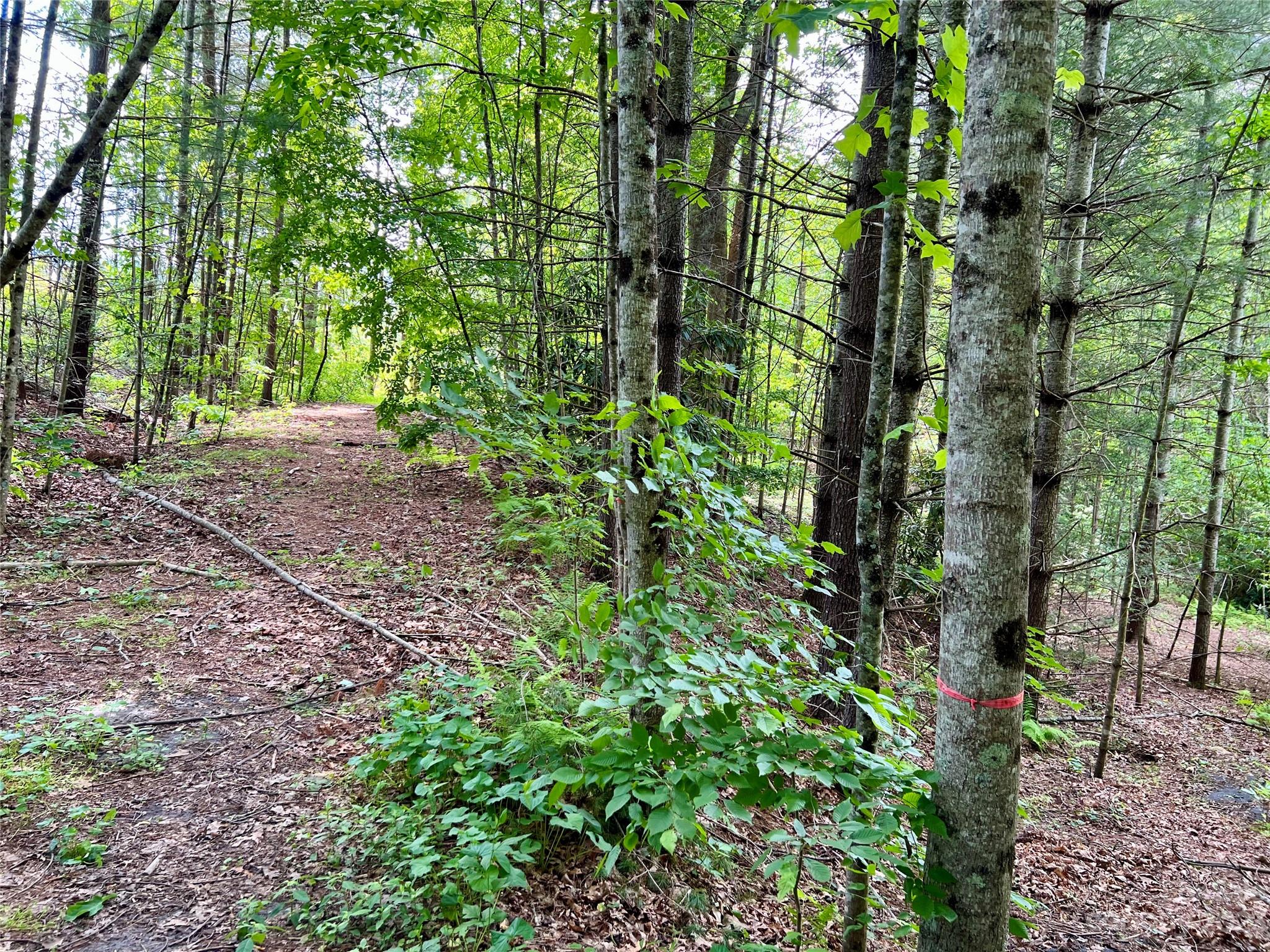 000 Crabtree Woods Road Unit: 11, 20,21,22,23
