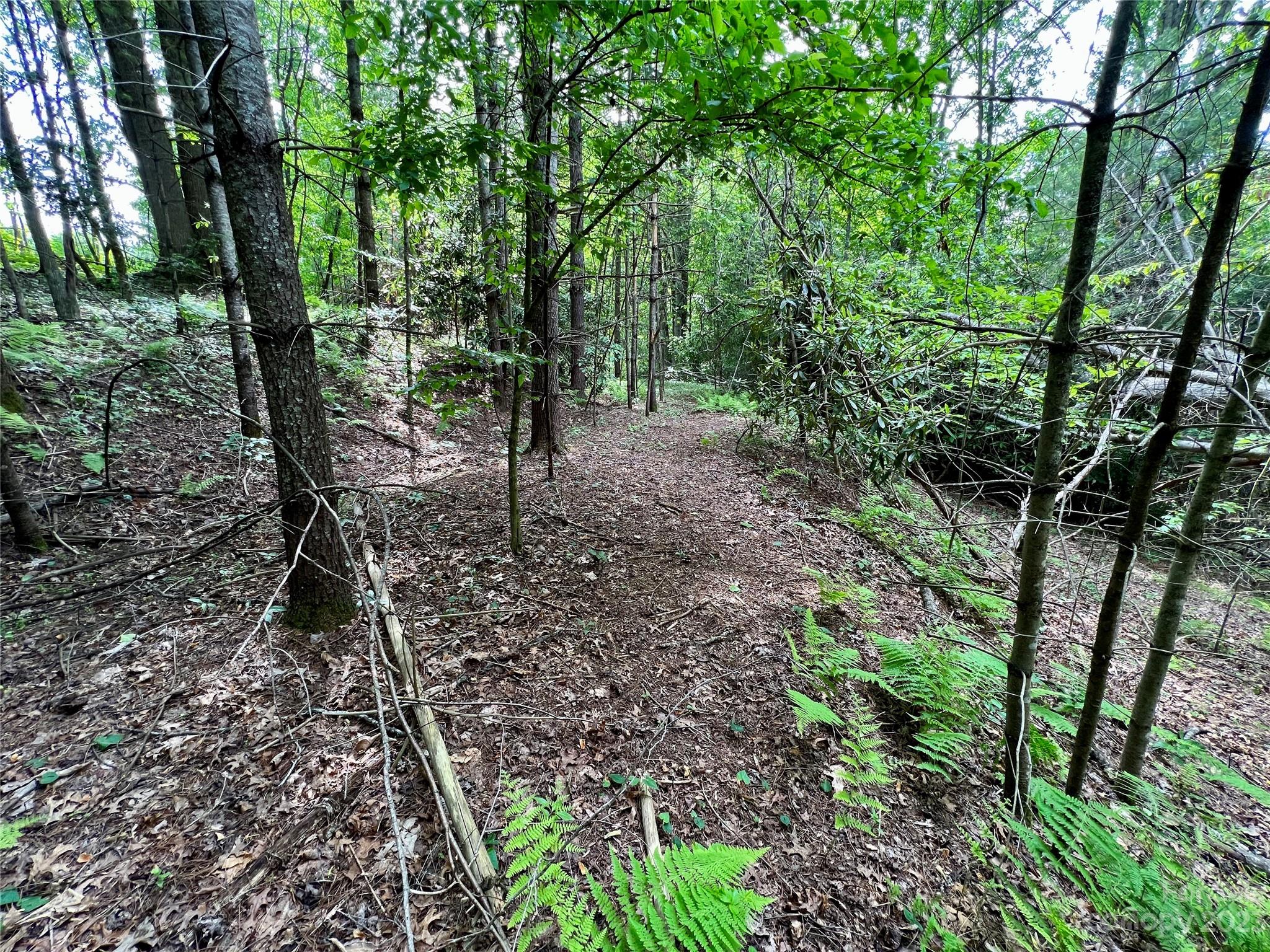 000 Crabtree Woods Road Unit: 11, 20,21,22,23