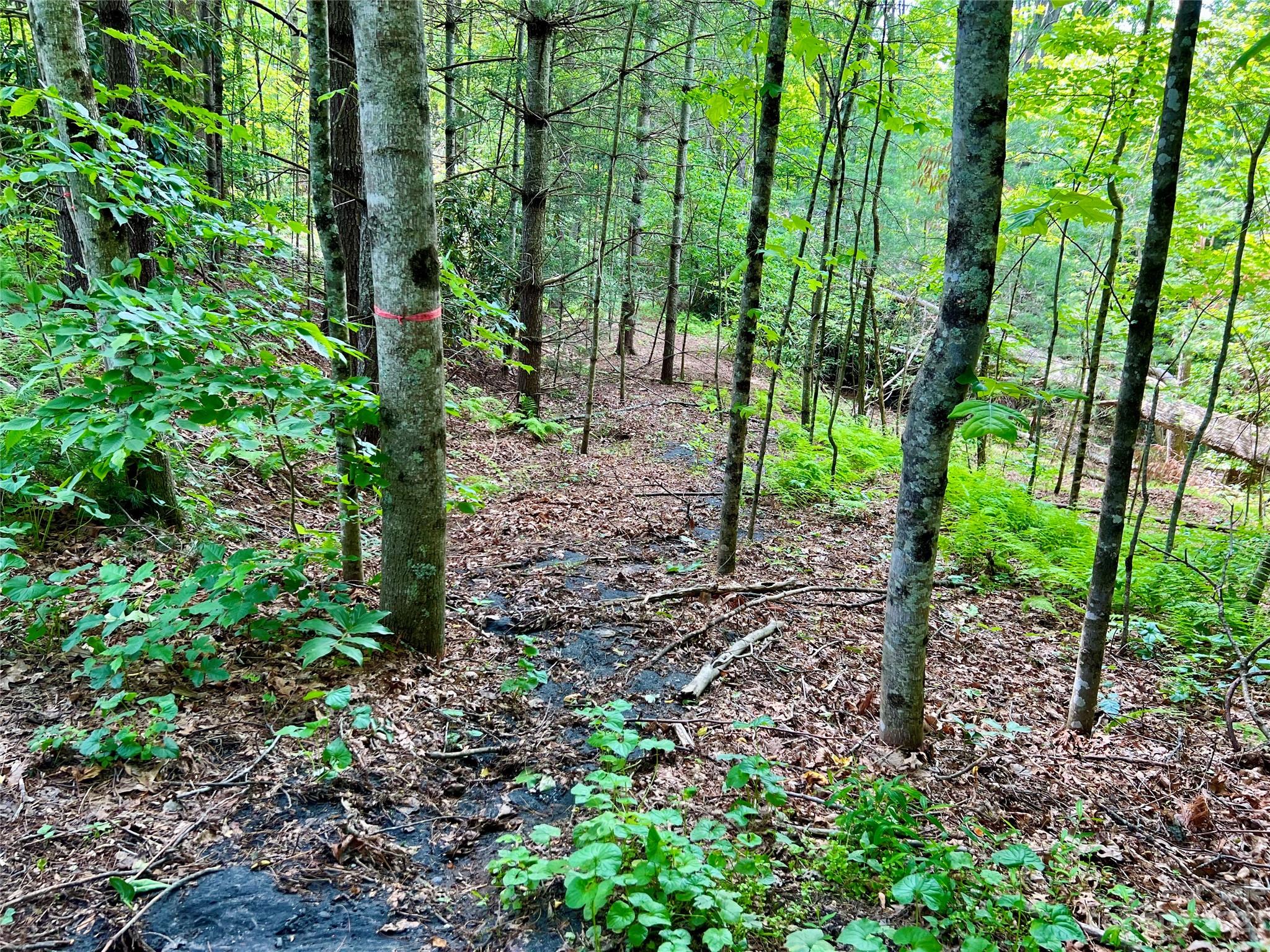 000 Crabtree Woods Road Unit: 11, 20,21,22,23