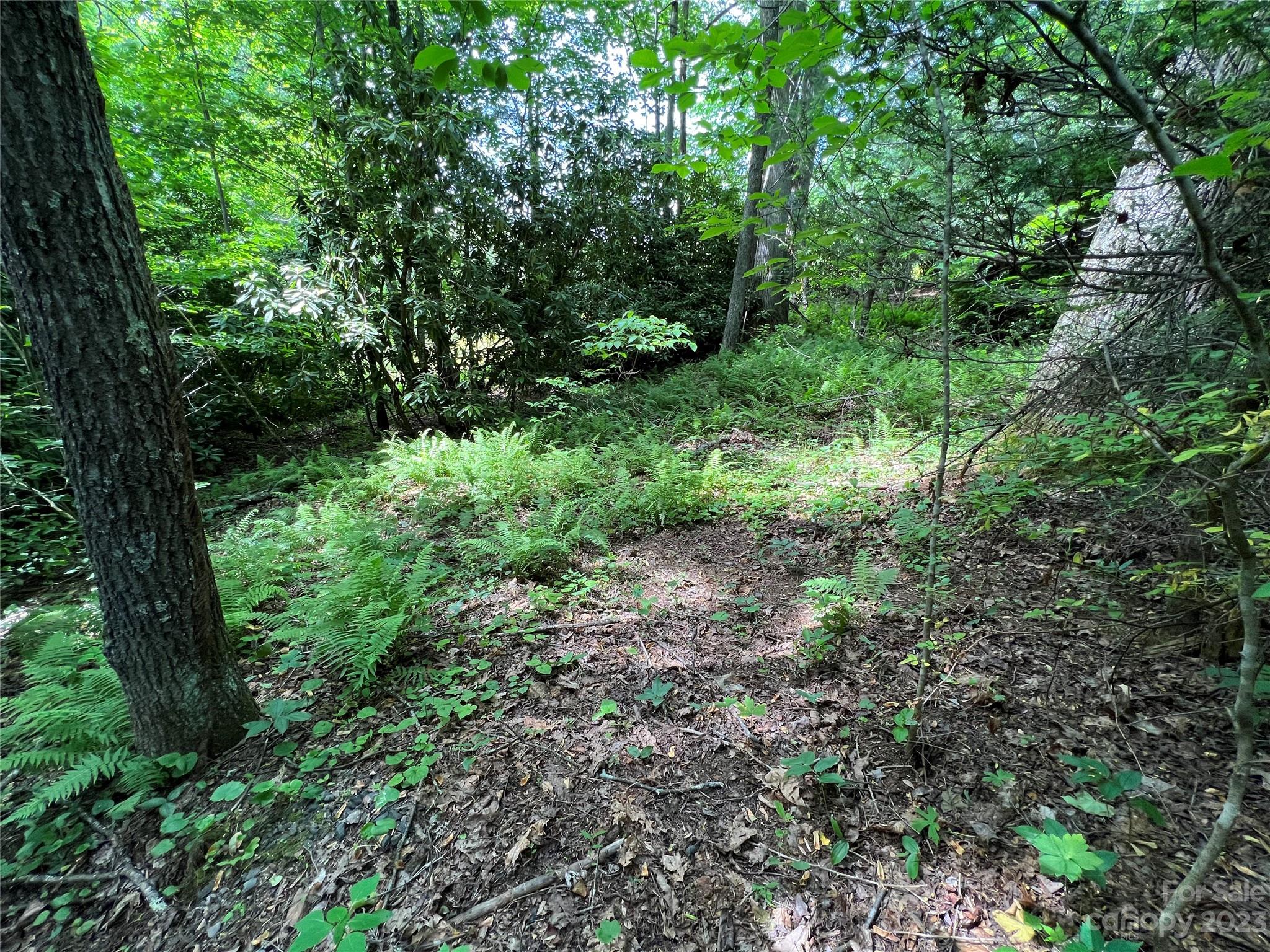 000 Crabtree Woods Road Unit: 11, 20,21,22,23