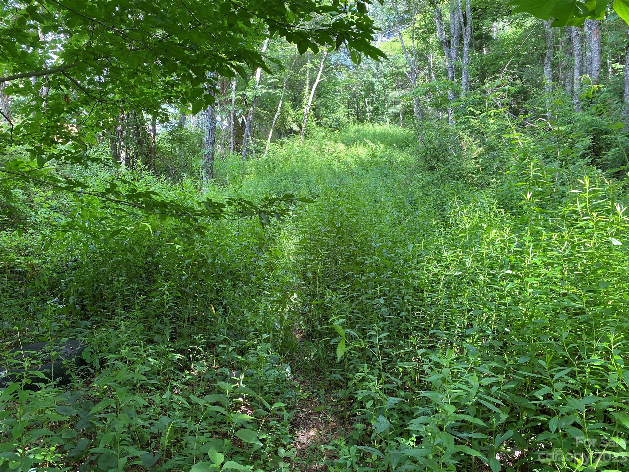 000 Crabtree Woods Road Unit: 11, 20,21,22,23
