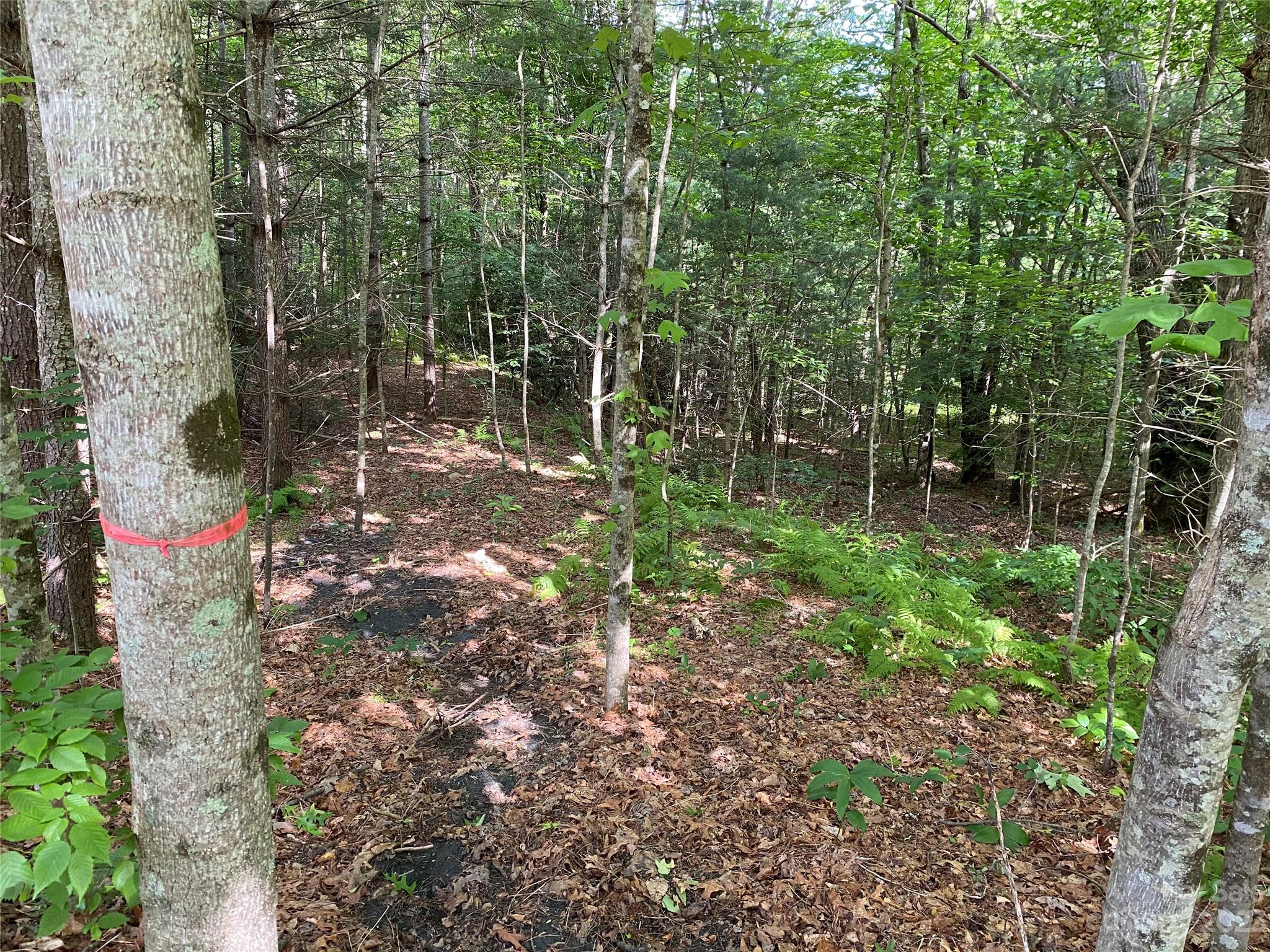 000 Crabtree Woods Road Unit: 11, 20,21,22,23