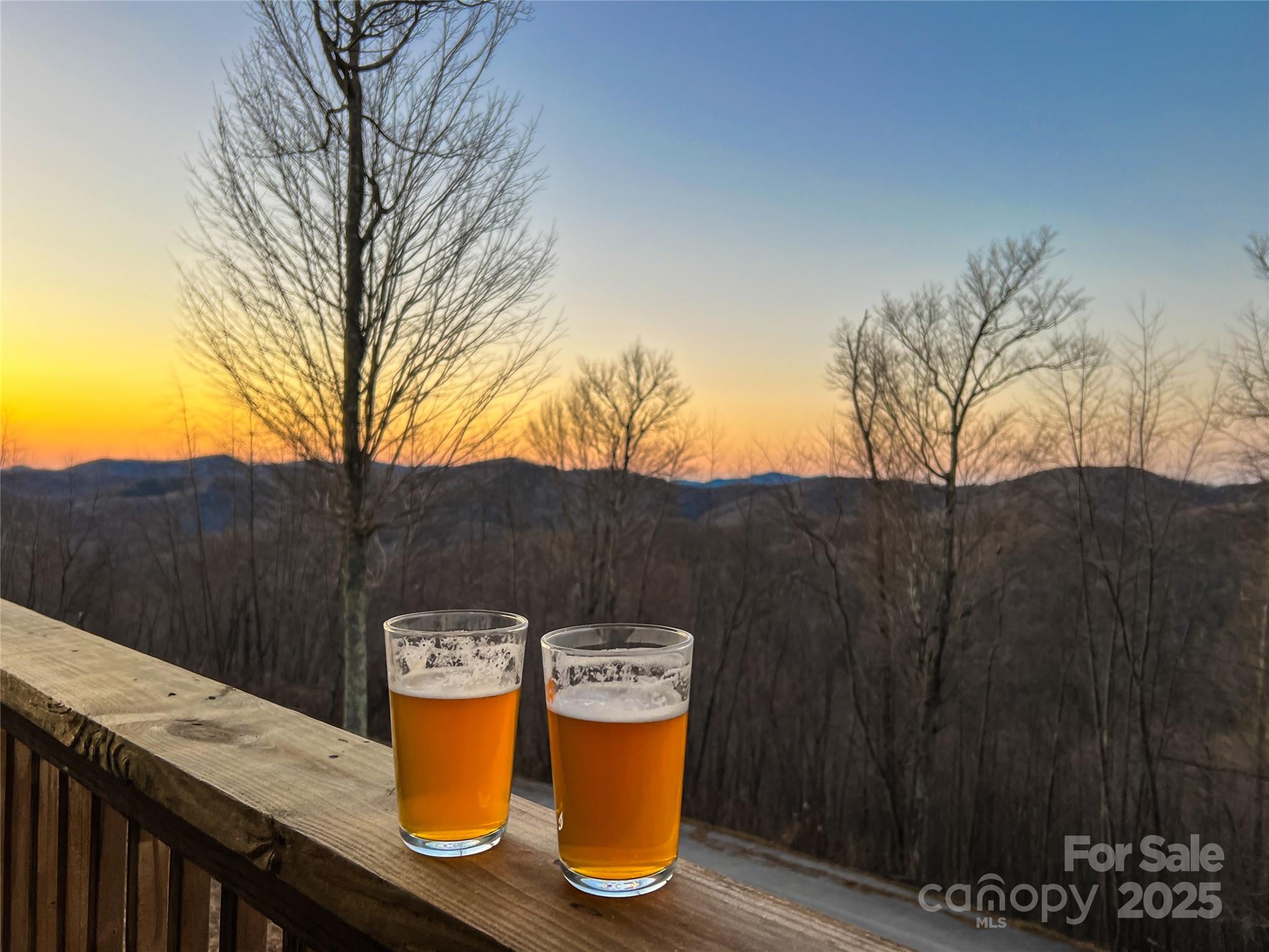 41 Scenic Wolf Drive
