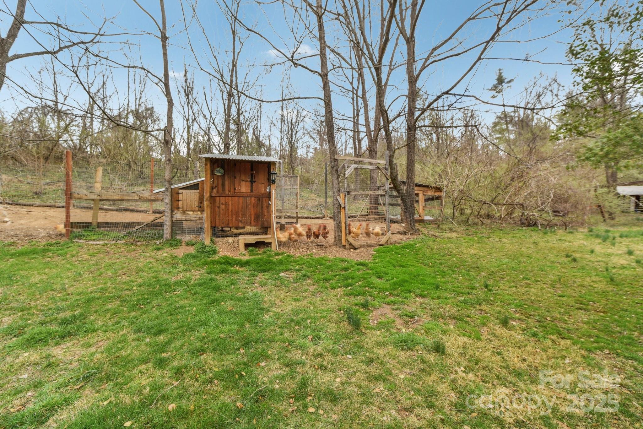 181 Dogwood Lane