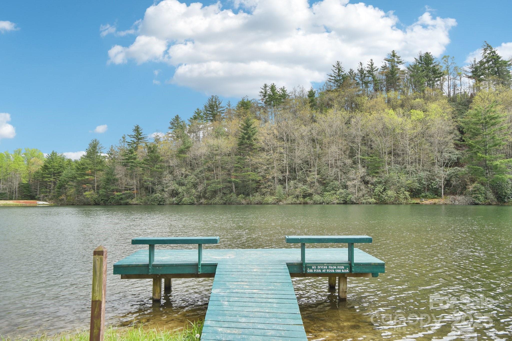 540 Swiss Pine Lake Drive