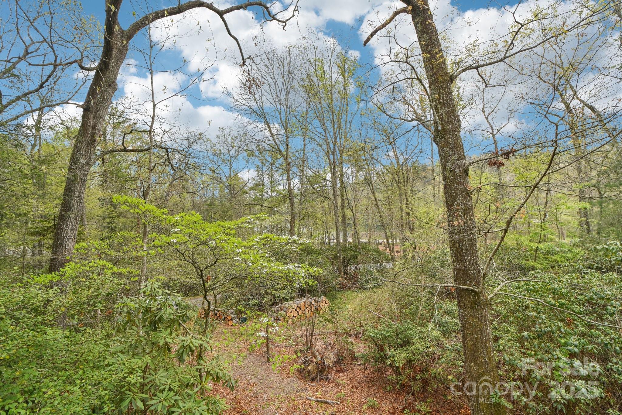 540 Swiss Pine Lake Drive