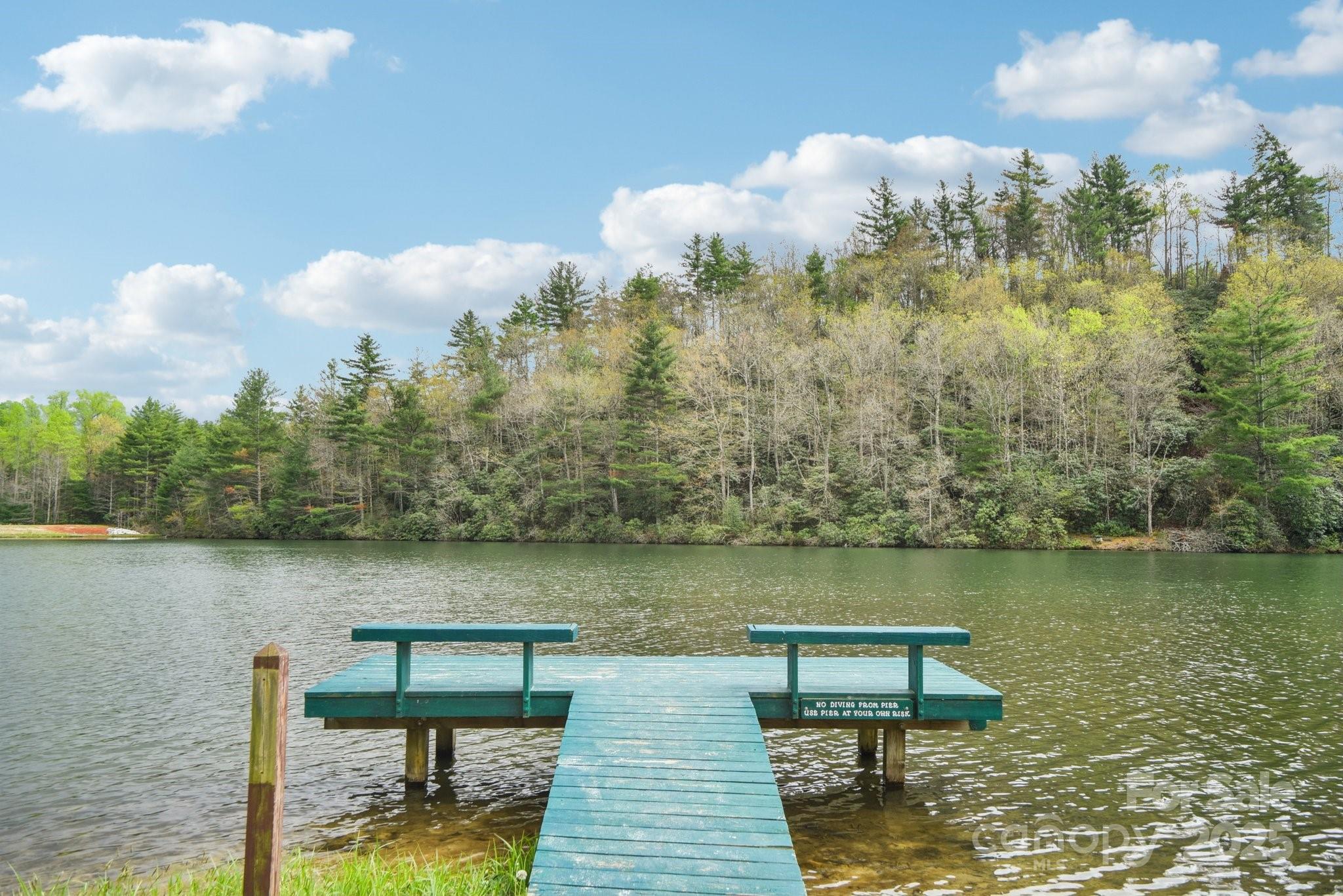 540 Swiss Pine Lake Drive