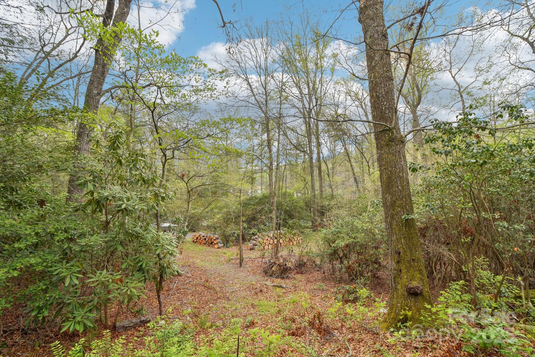 540 Swiss Pine Lake Drive