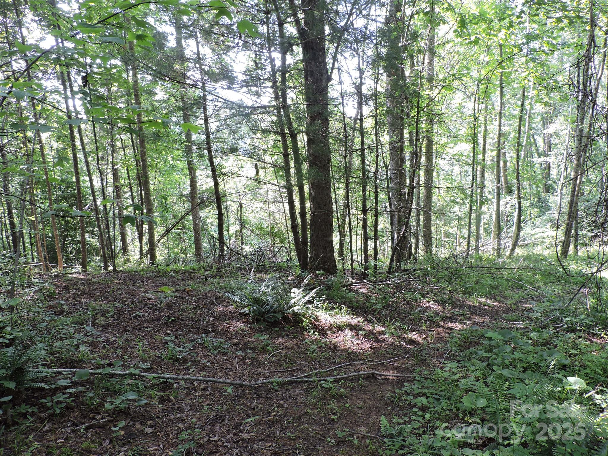 674 Johnson's River Bend Lane