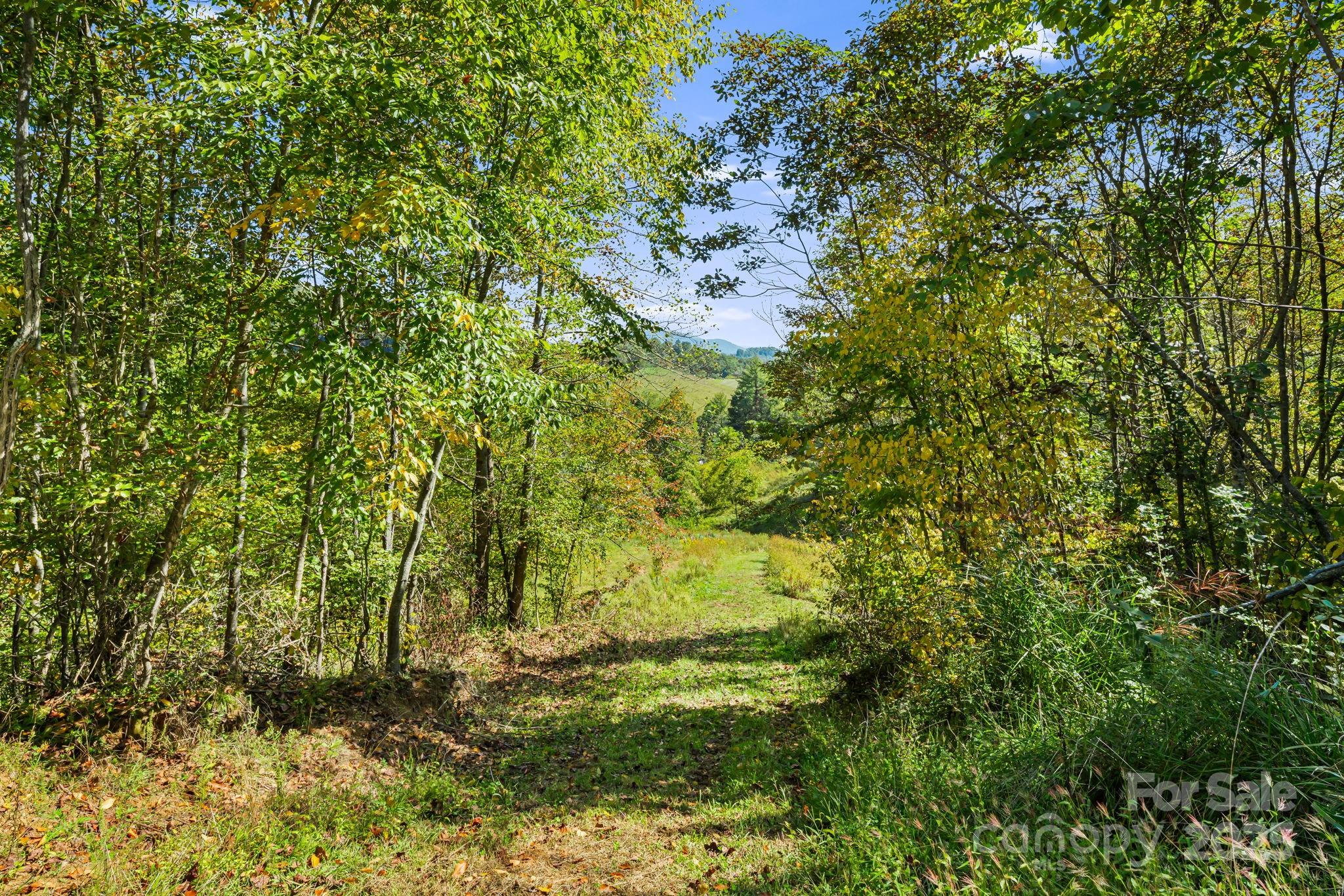 000 Maney Branch Road