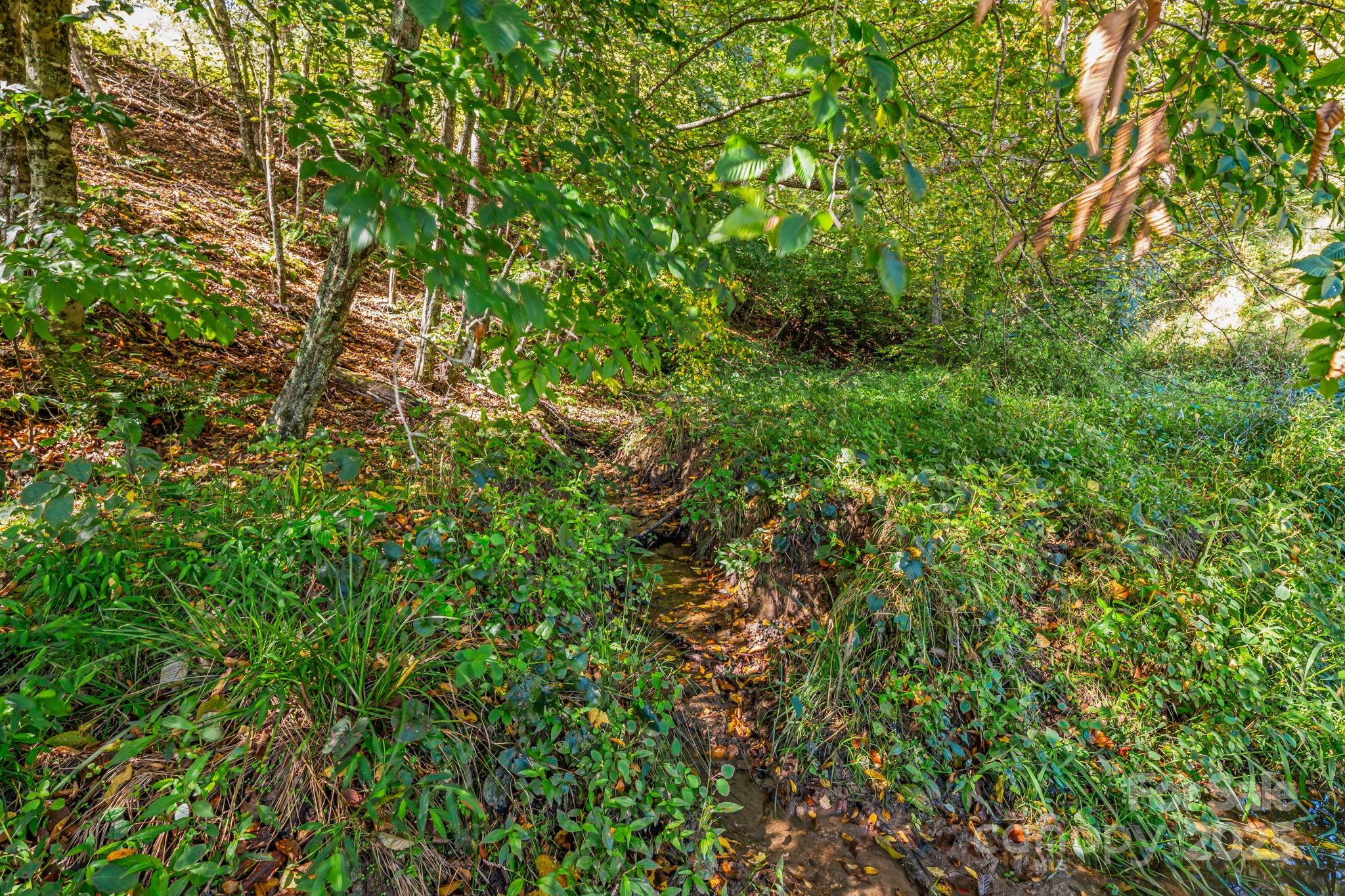 000 Maney Branch Road