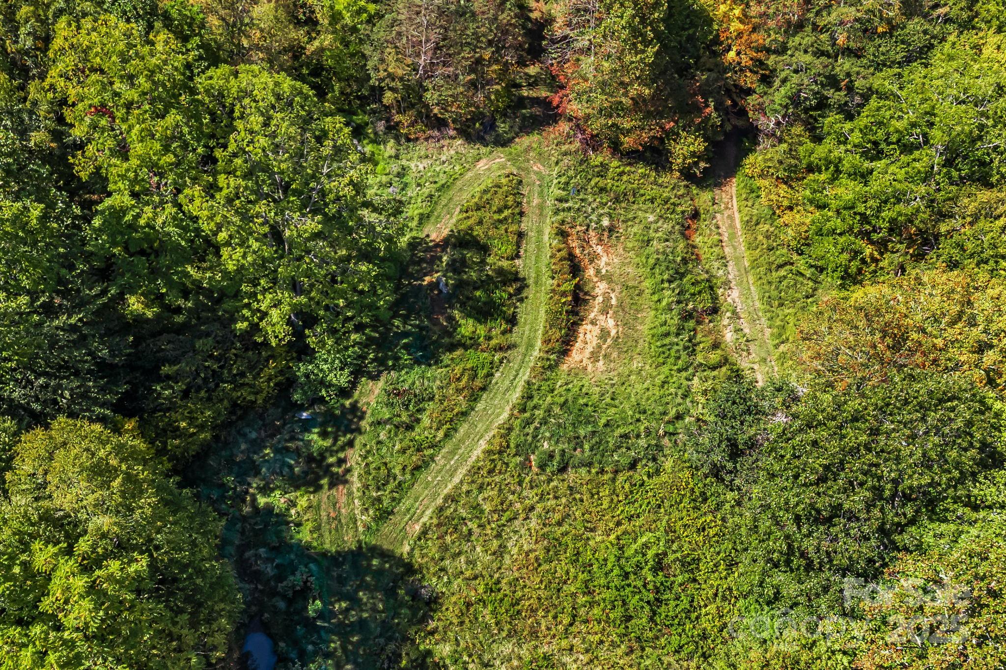 000 Maney Branch Road