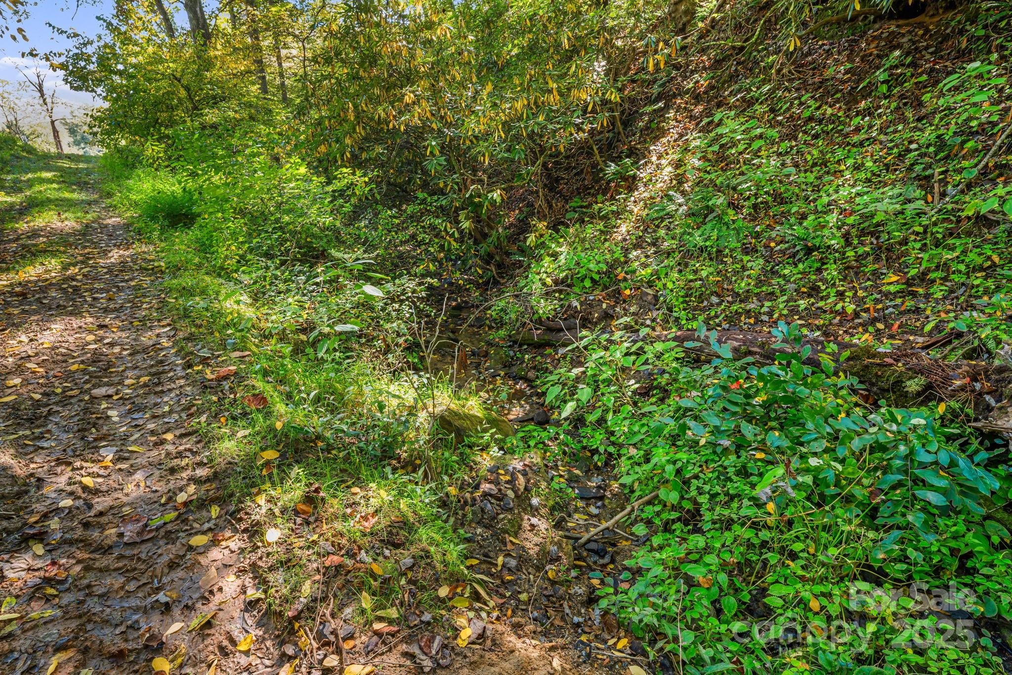 000 Maney Branch Road