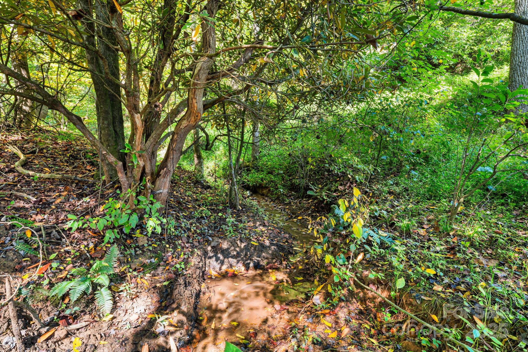 000 Maney Branch Road