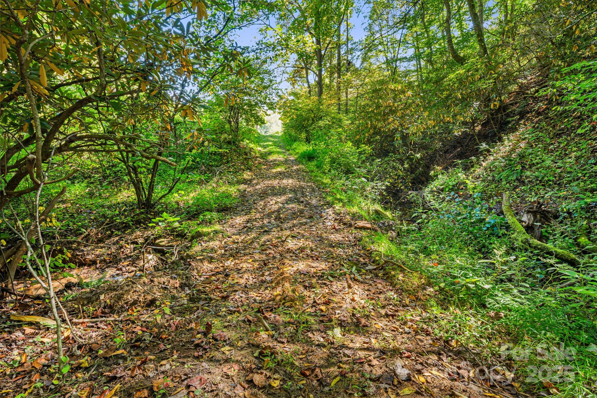 000 Maney Branch Road
