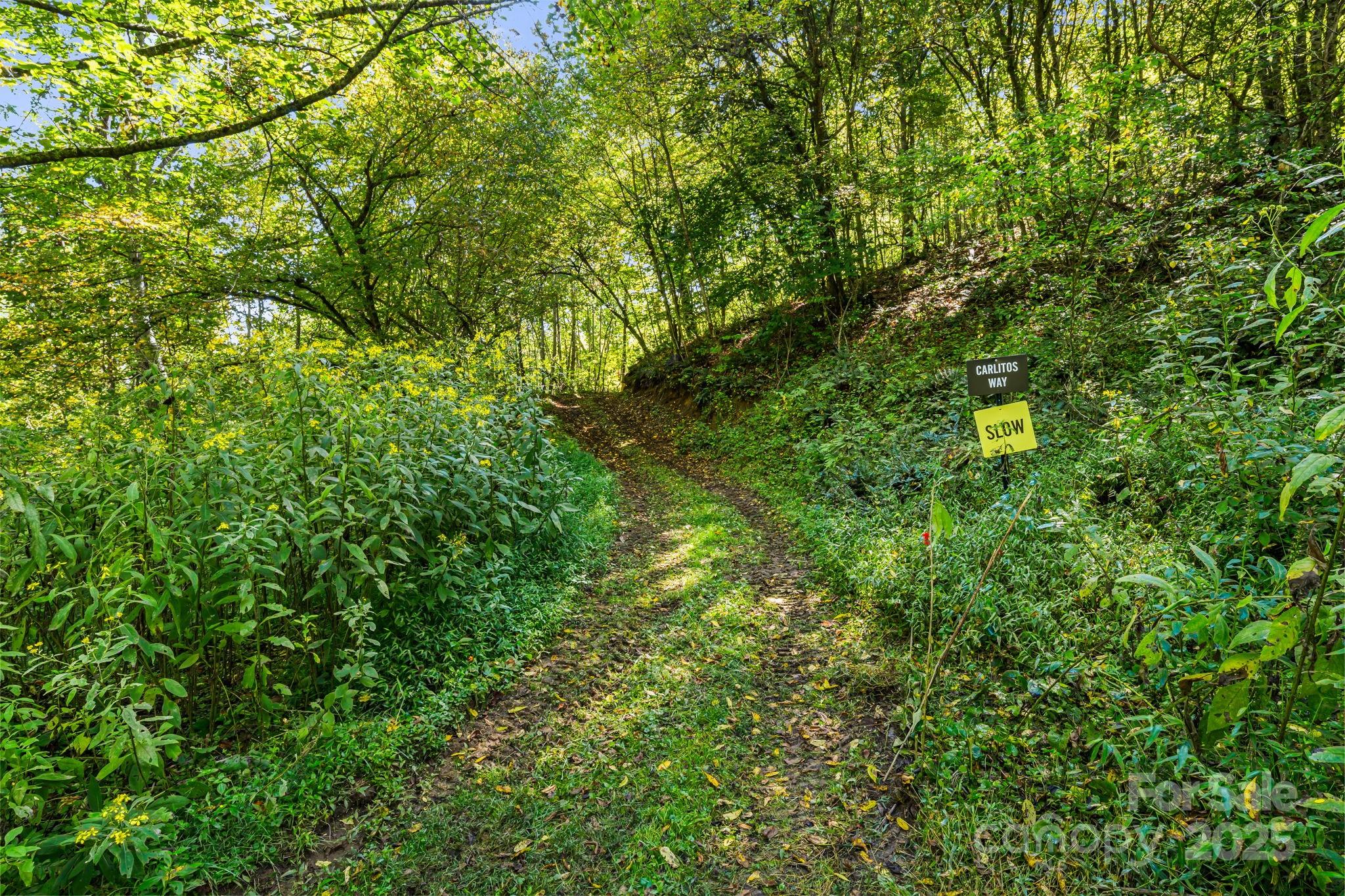 000 Maney Branch Road