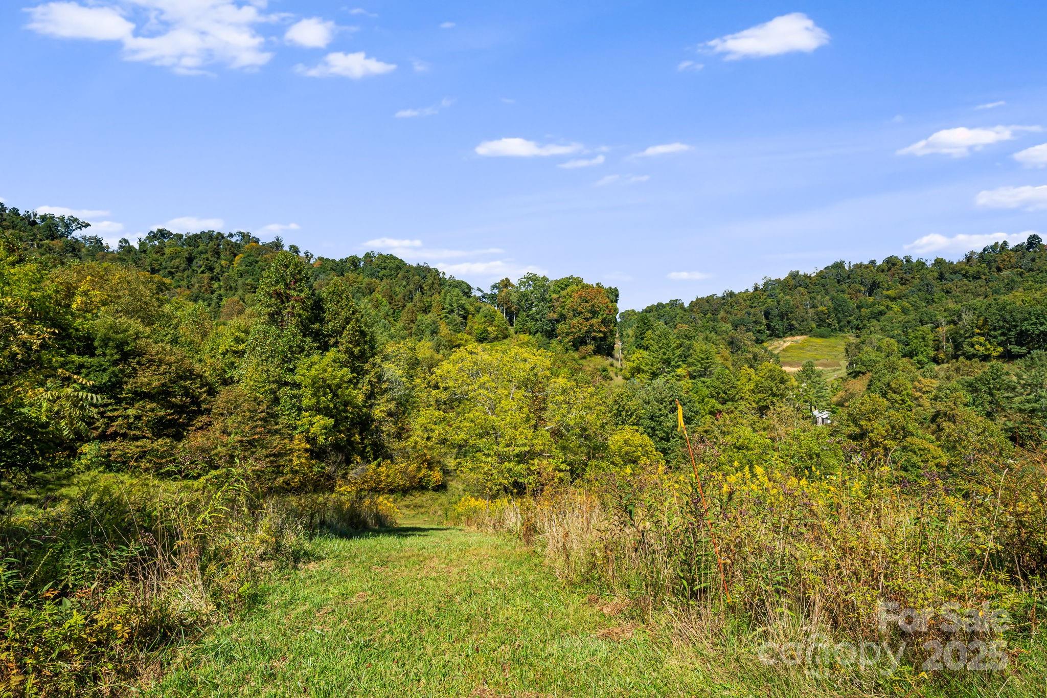 000 Maney Branch Road