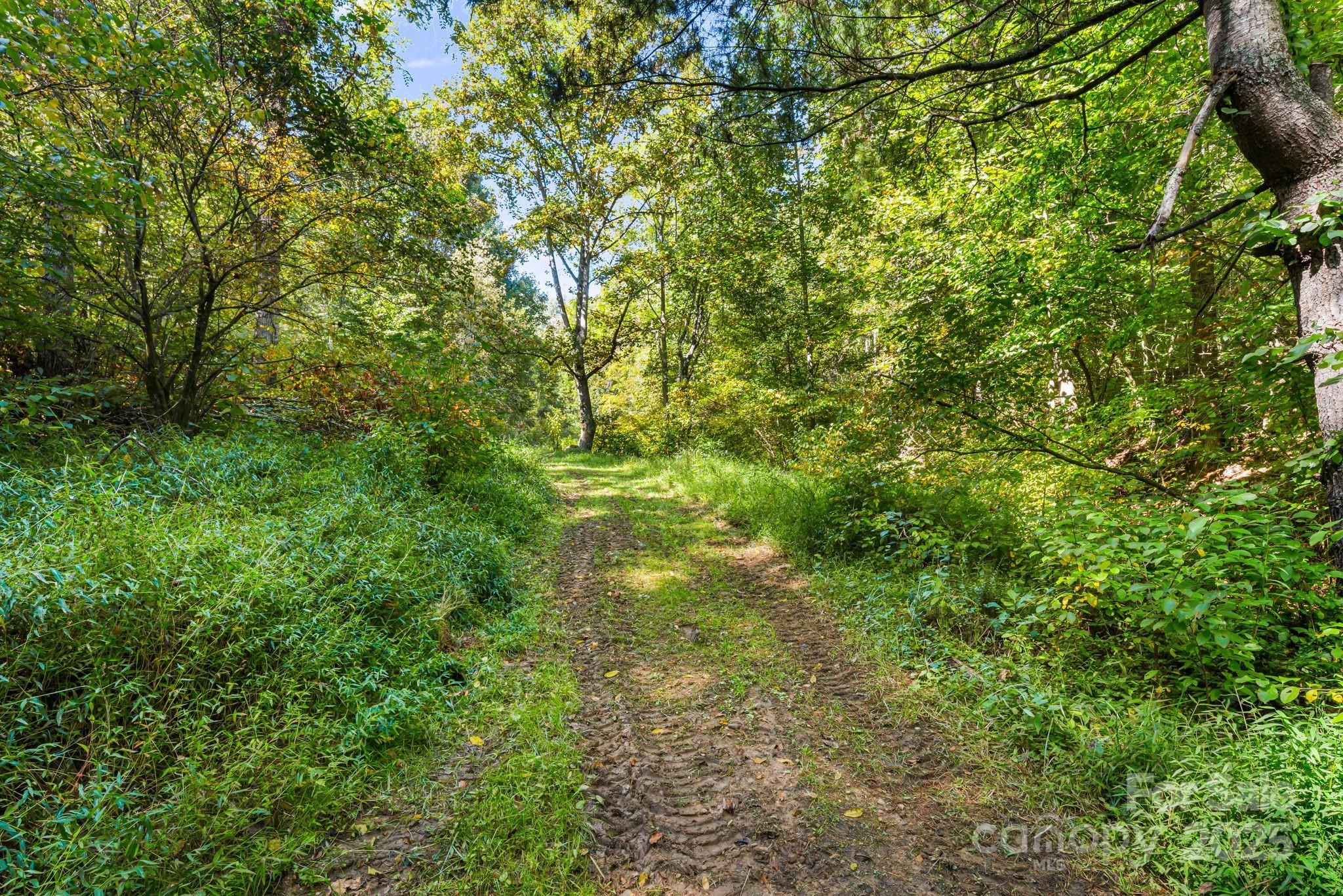 000 Maney Branch Road