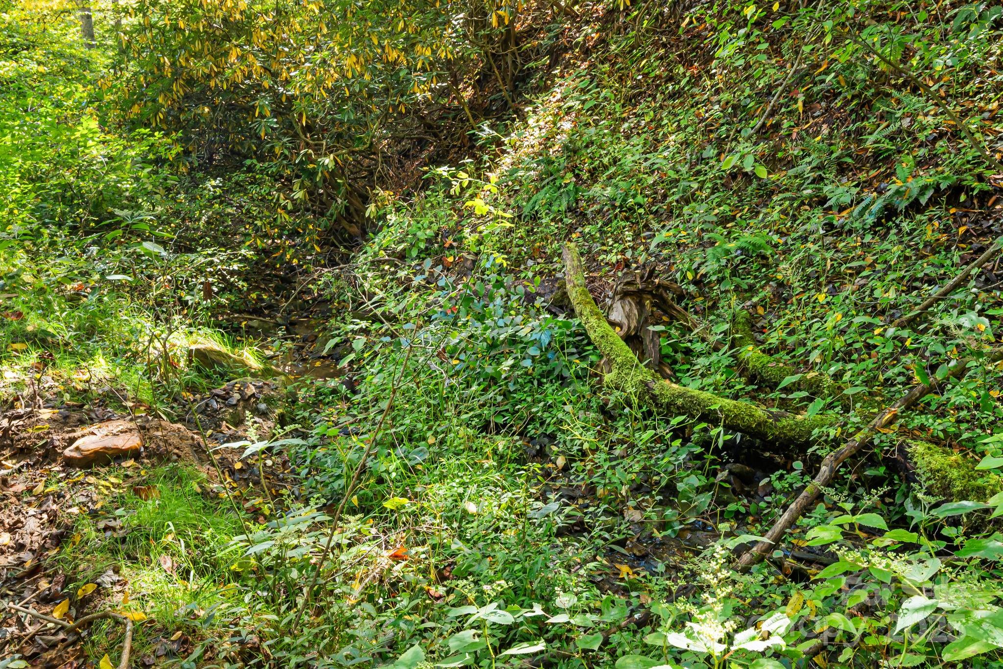 000 Maney Branch Road