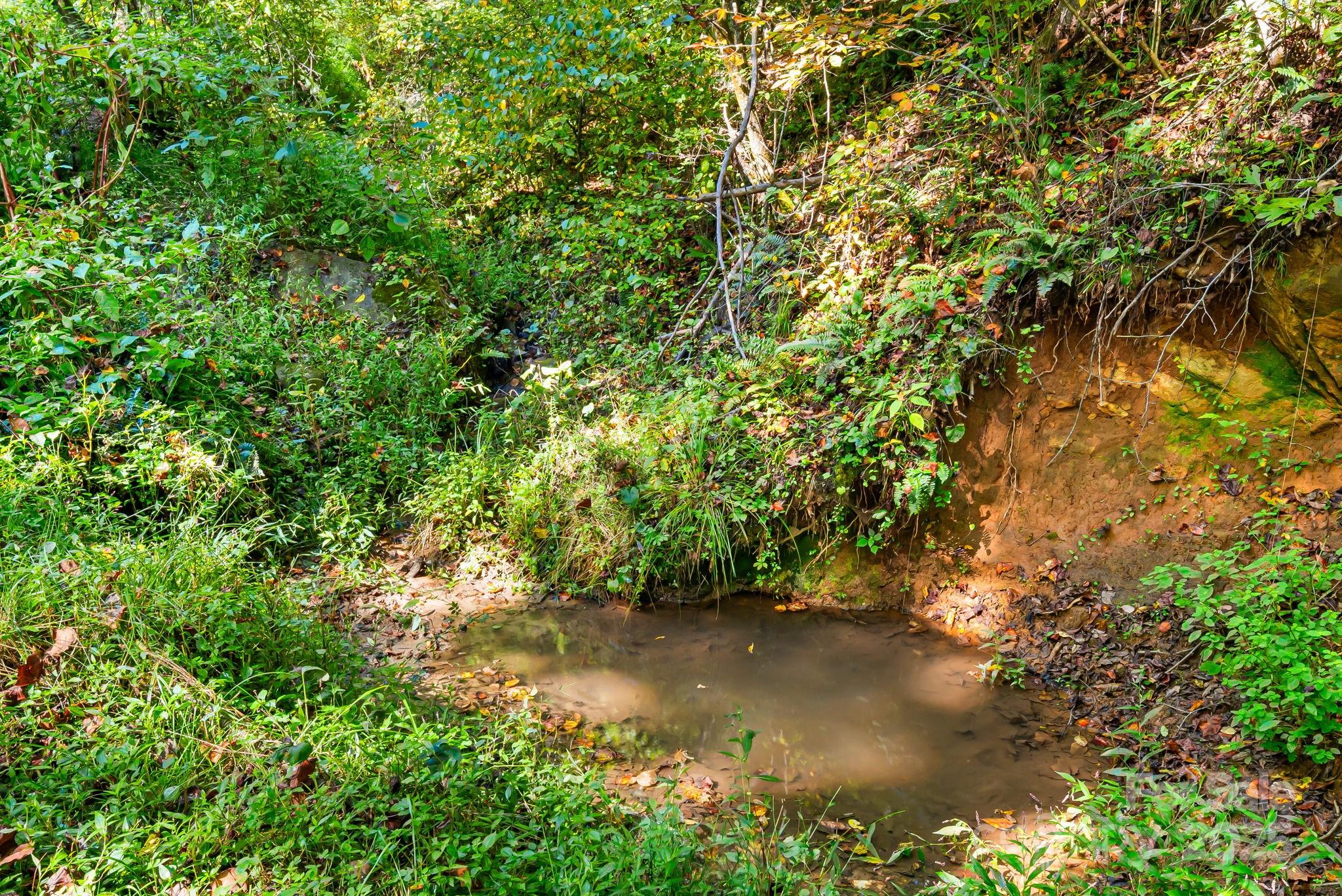 000 Maney Branch Road