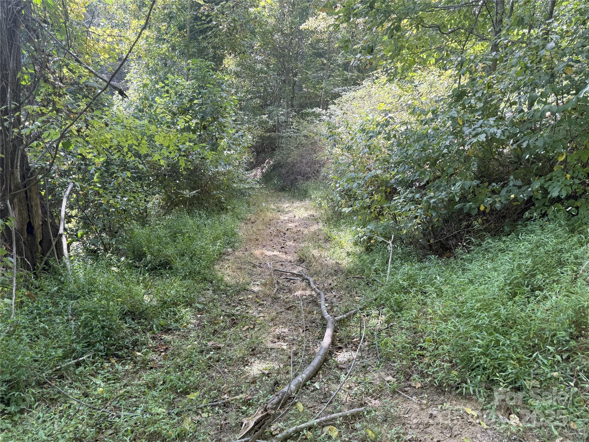 000 Maney Branch Road
