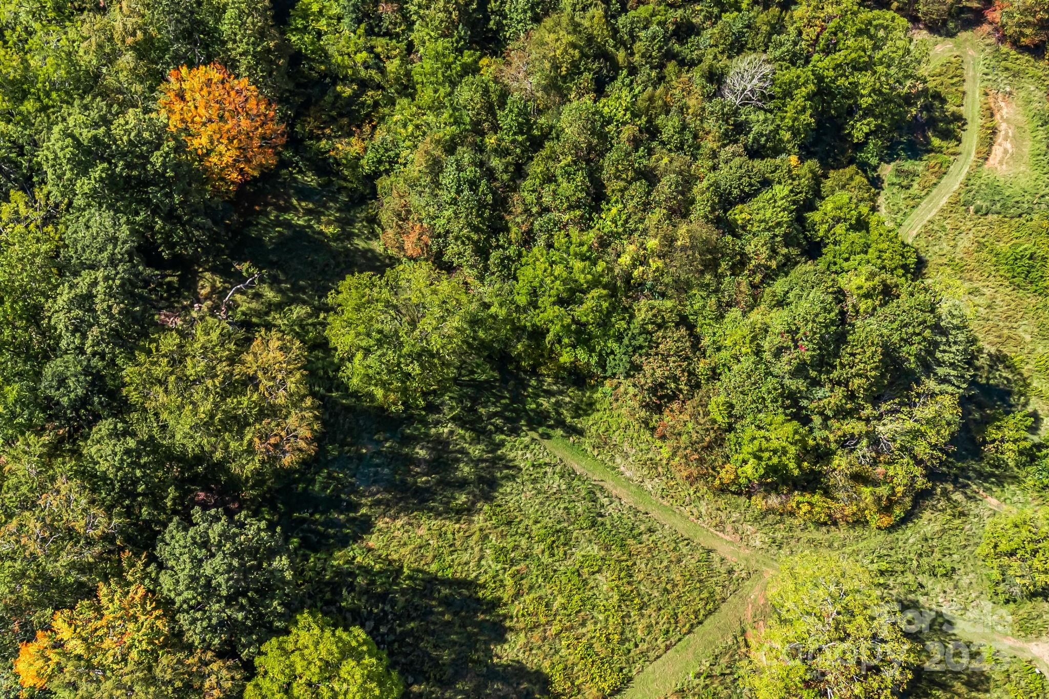 000 Maney Branch Road
