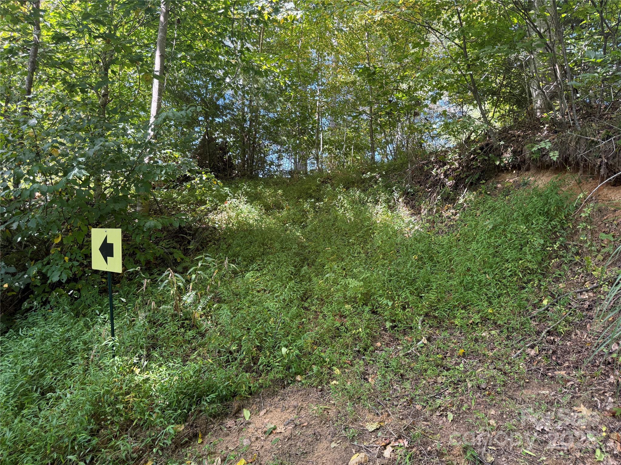 000 Maney Branch Road