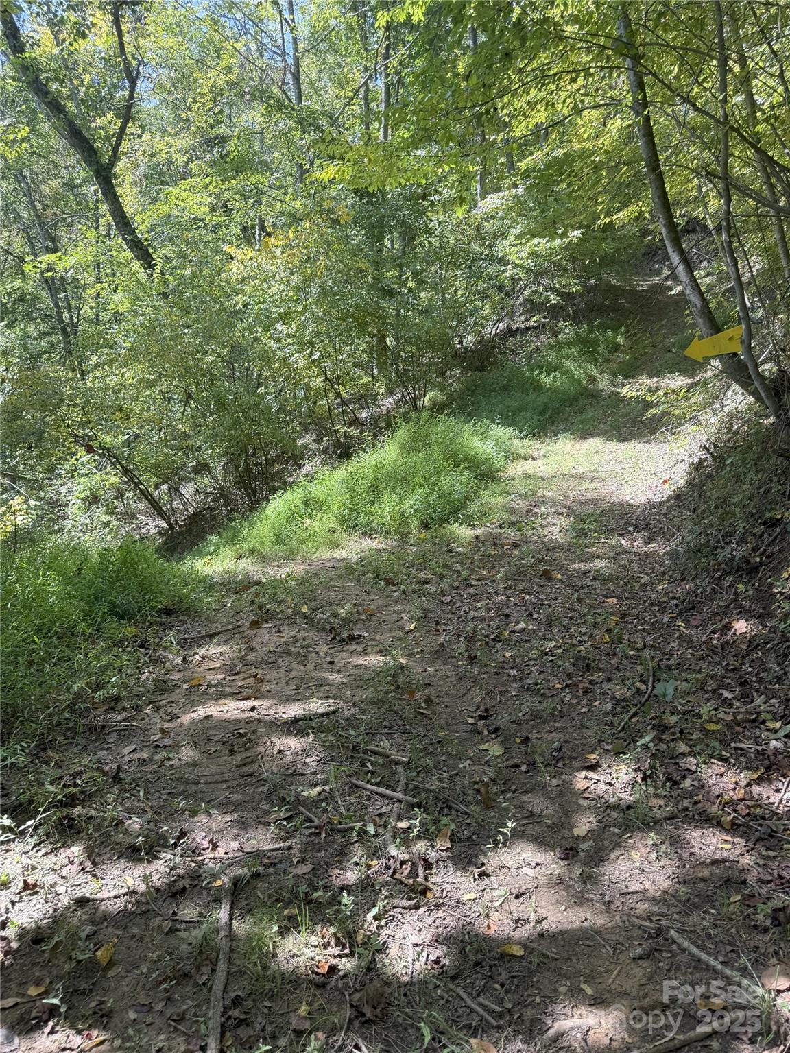 000 Maney Branch Road