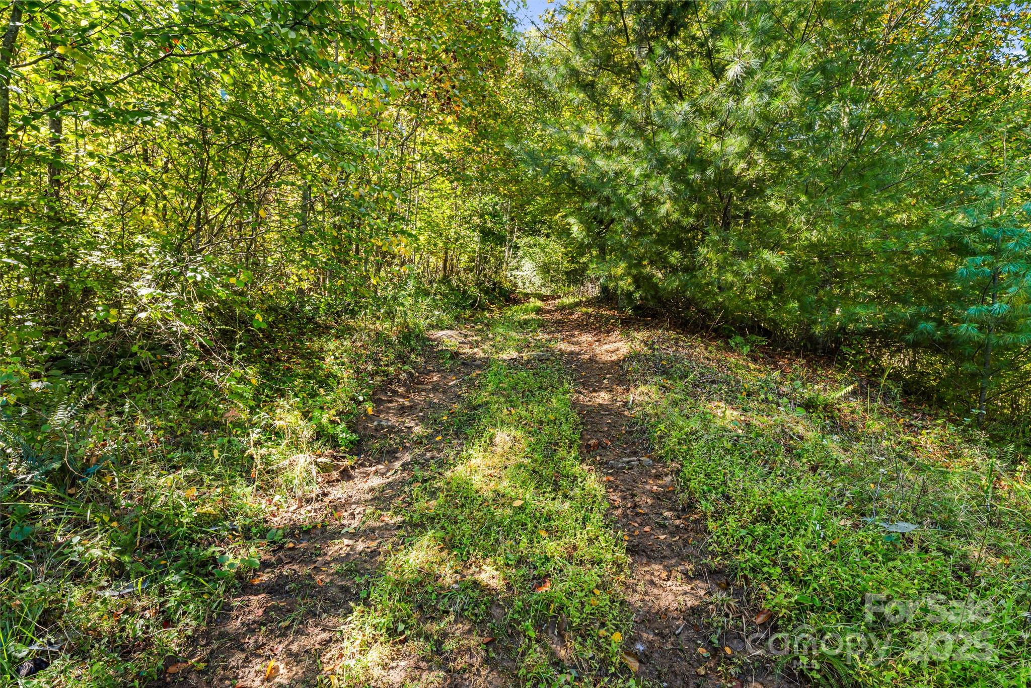 000 Maney Branch Road