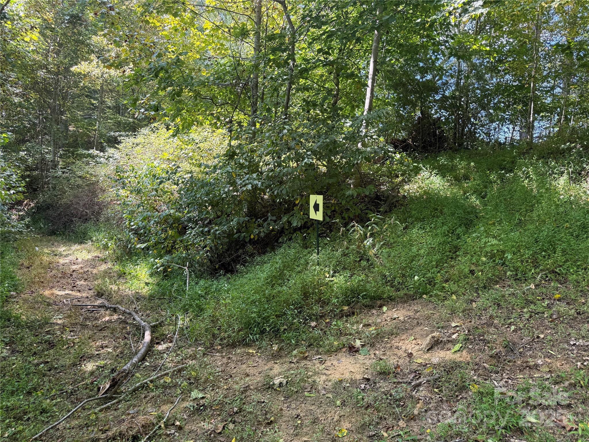 000 Maney Branch Road