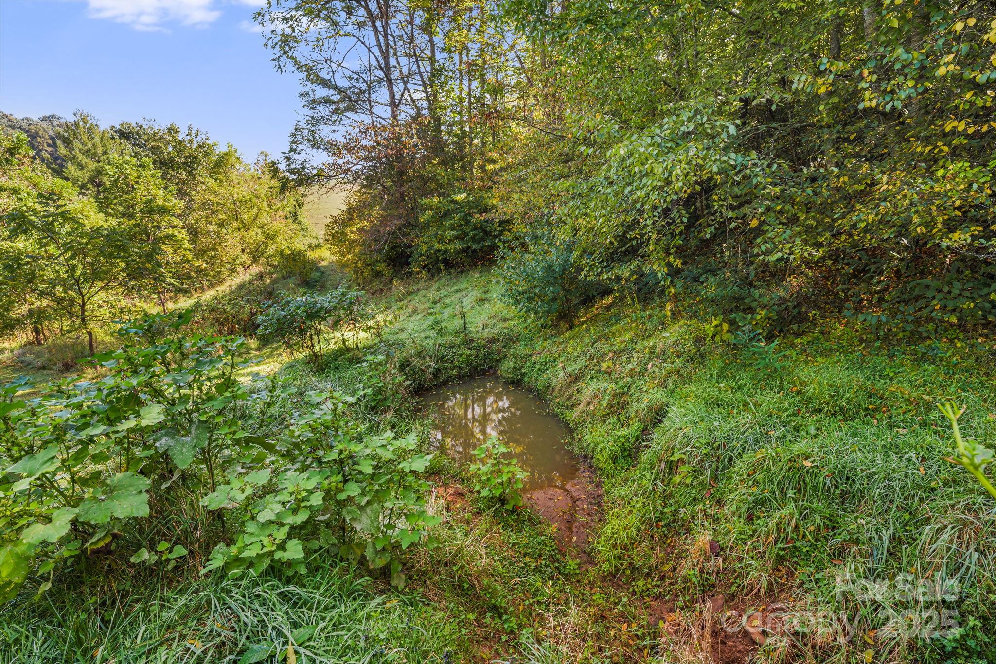 000 Maney Branch Road