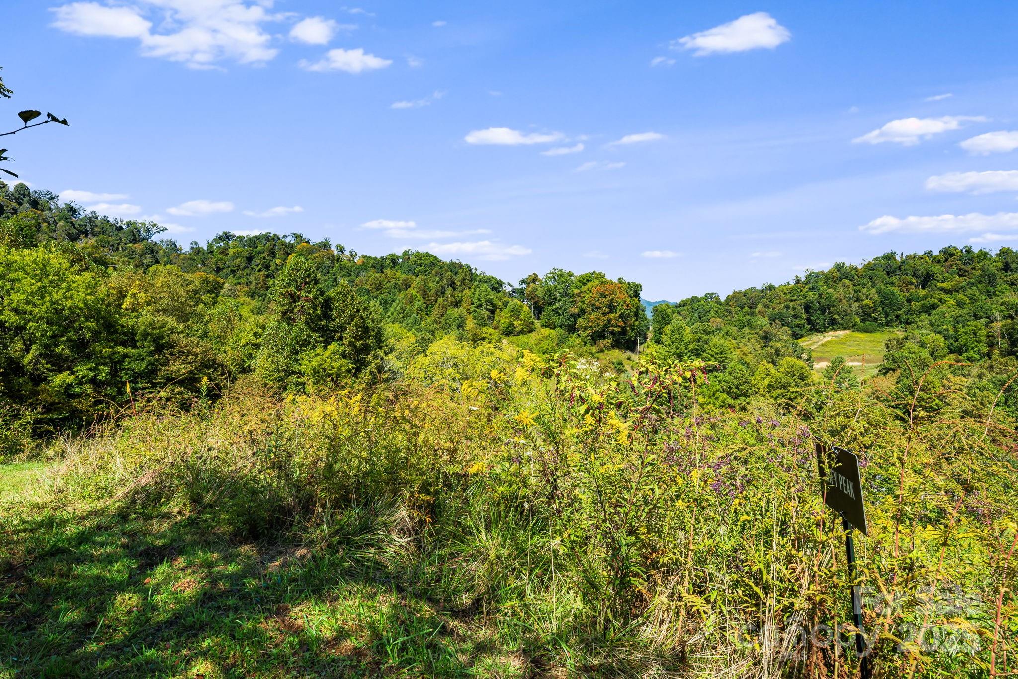 000 Maney Branch Road
