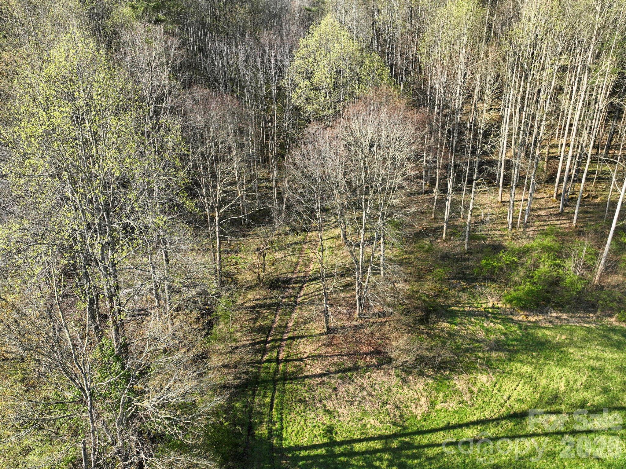 3041 Bald Mountain Road
