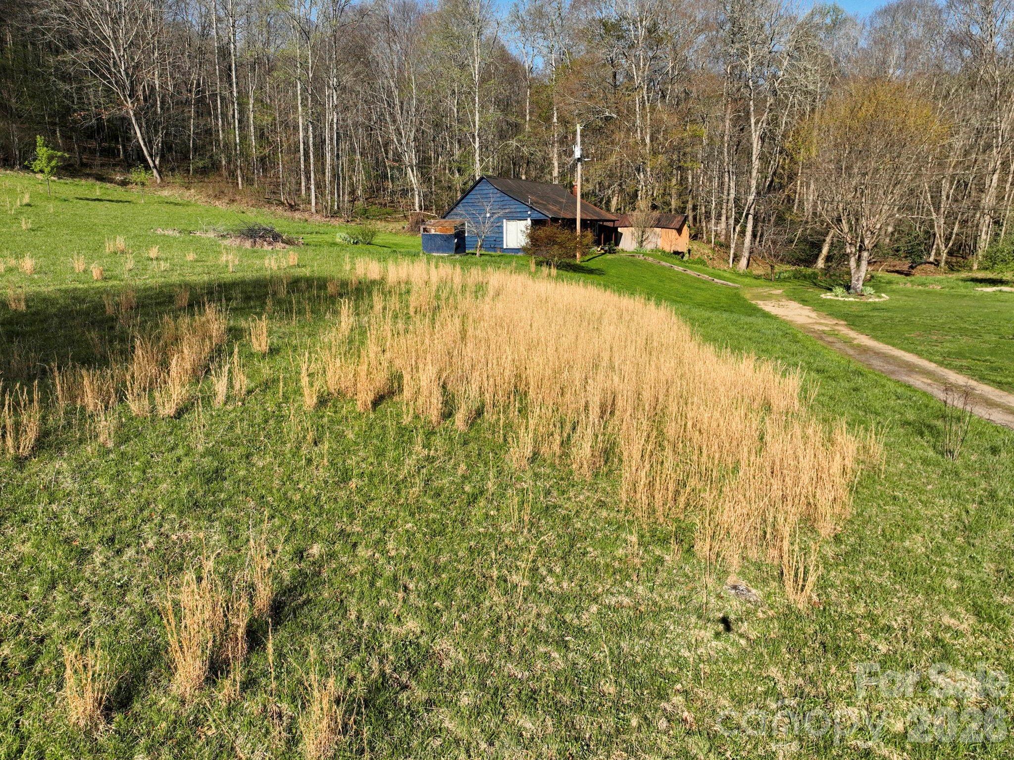 3041 Bald Mountain Road