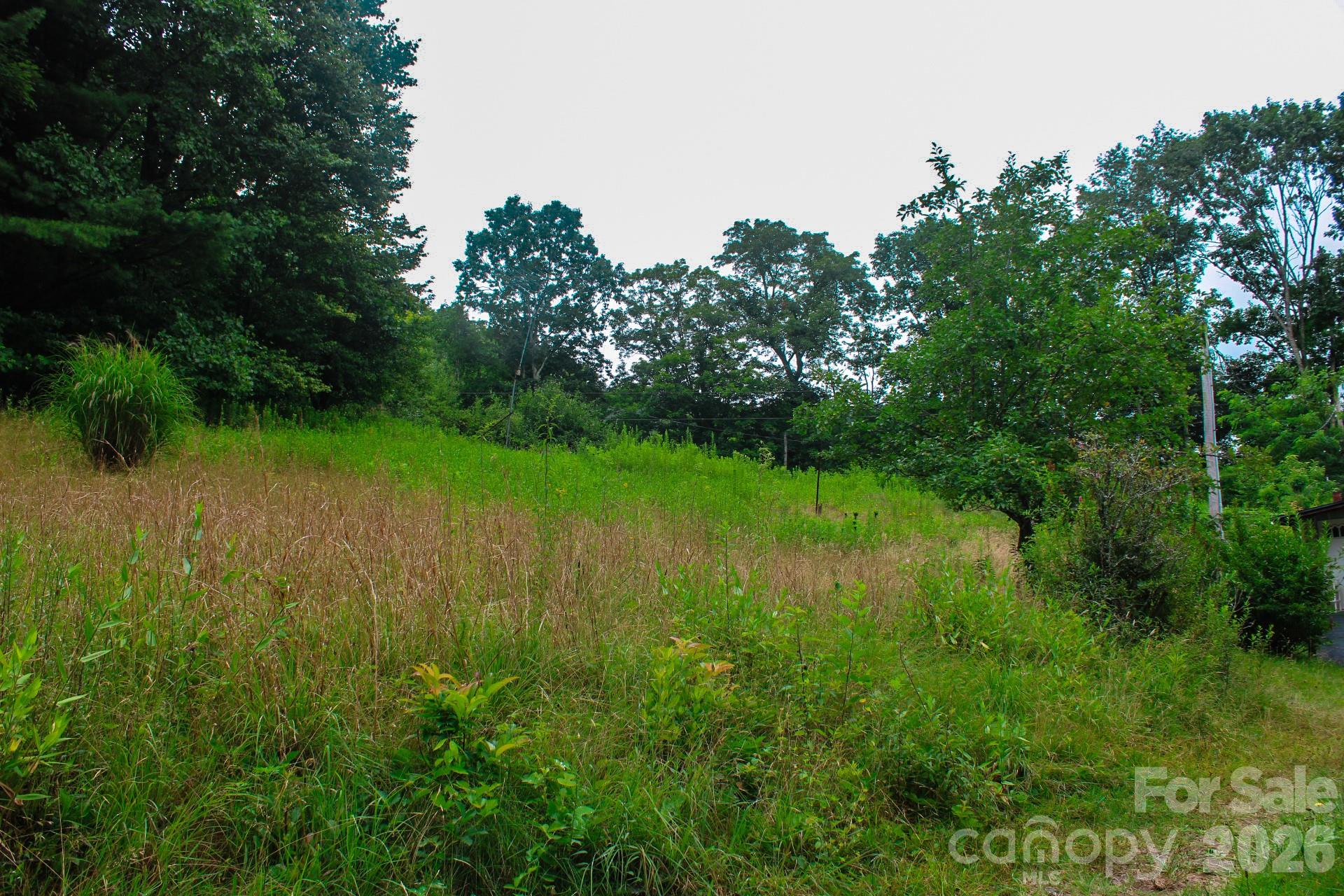 3454 Puncheon Fork Road