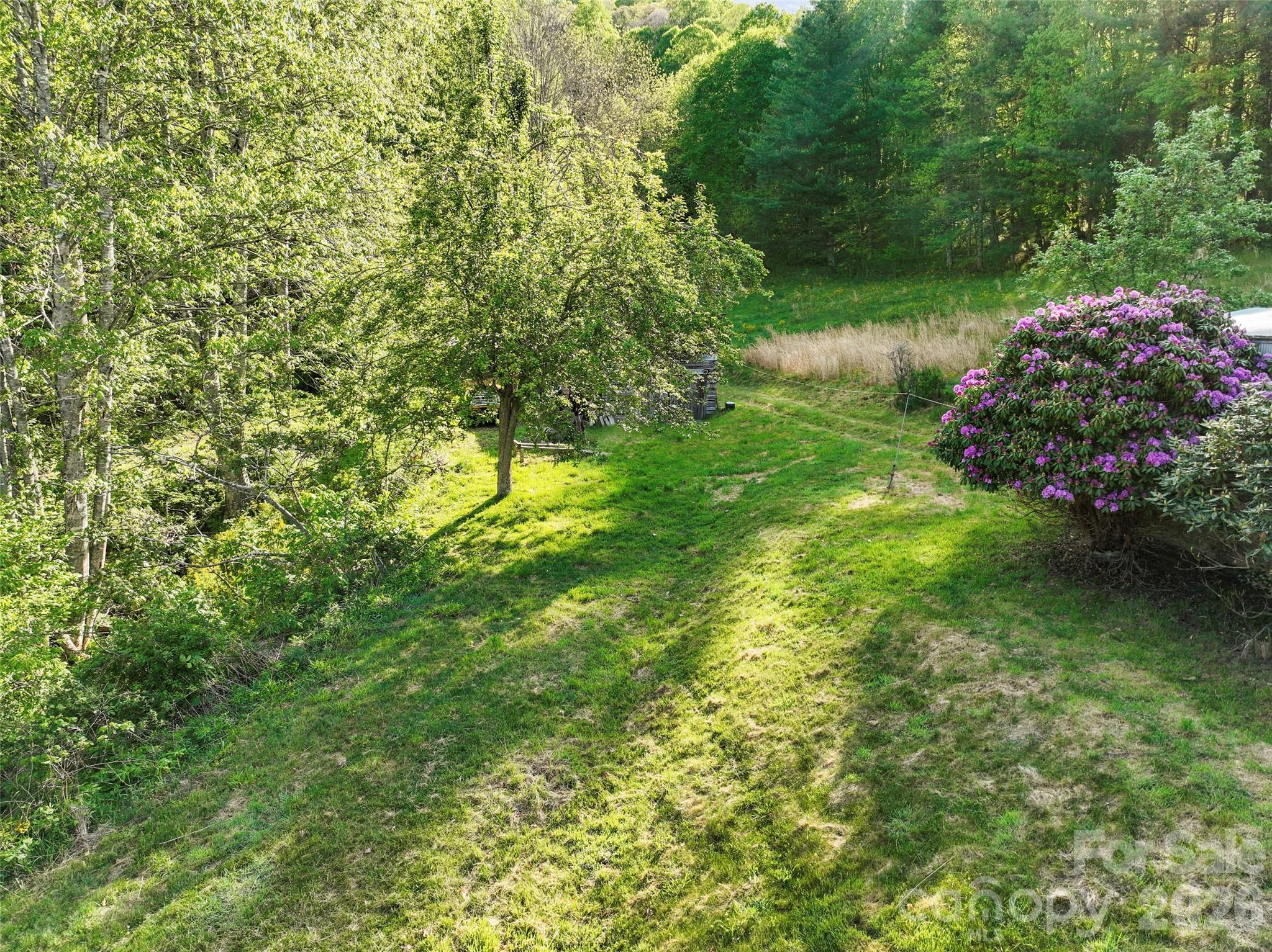 3454 Puncheon Fork Road