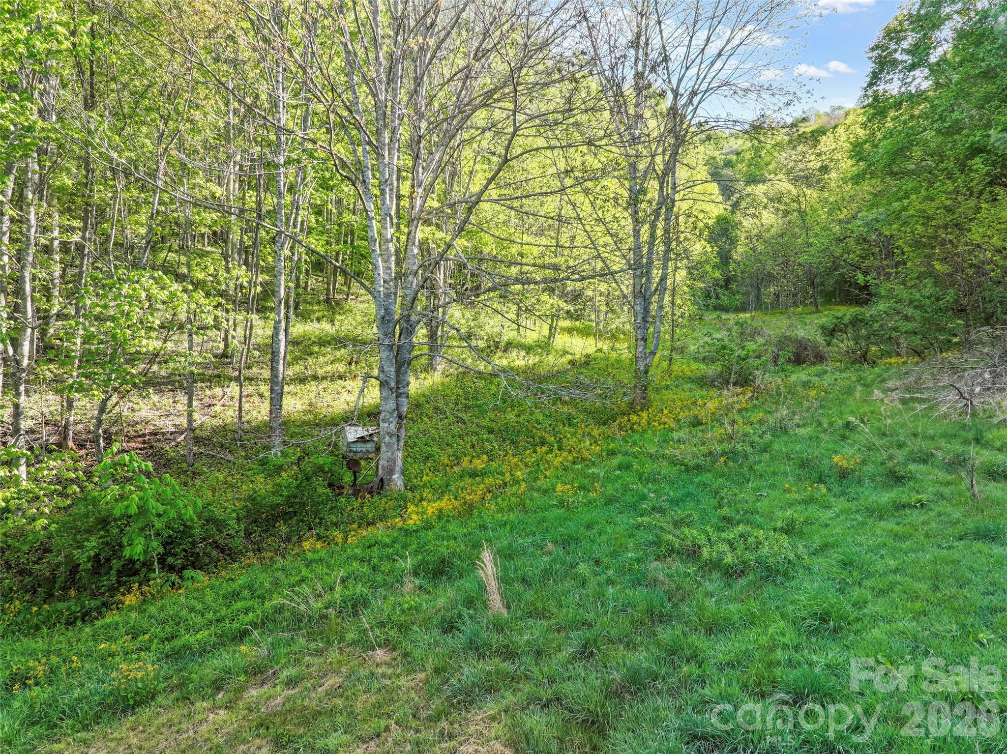 3454 Puncheon Fork Road