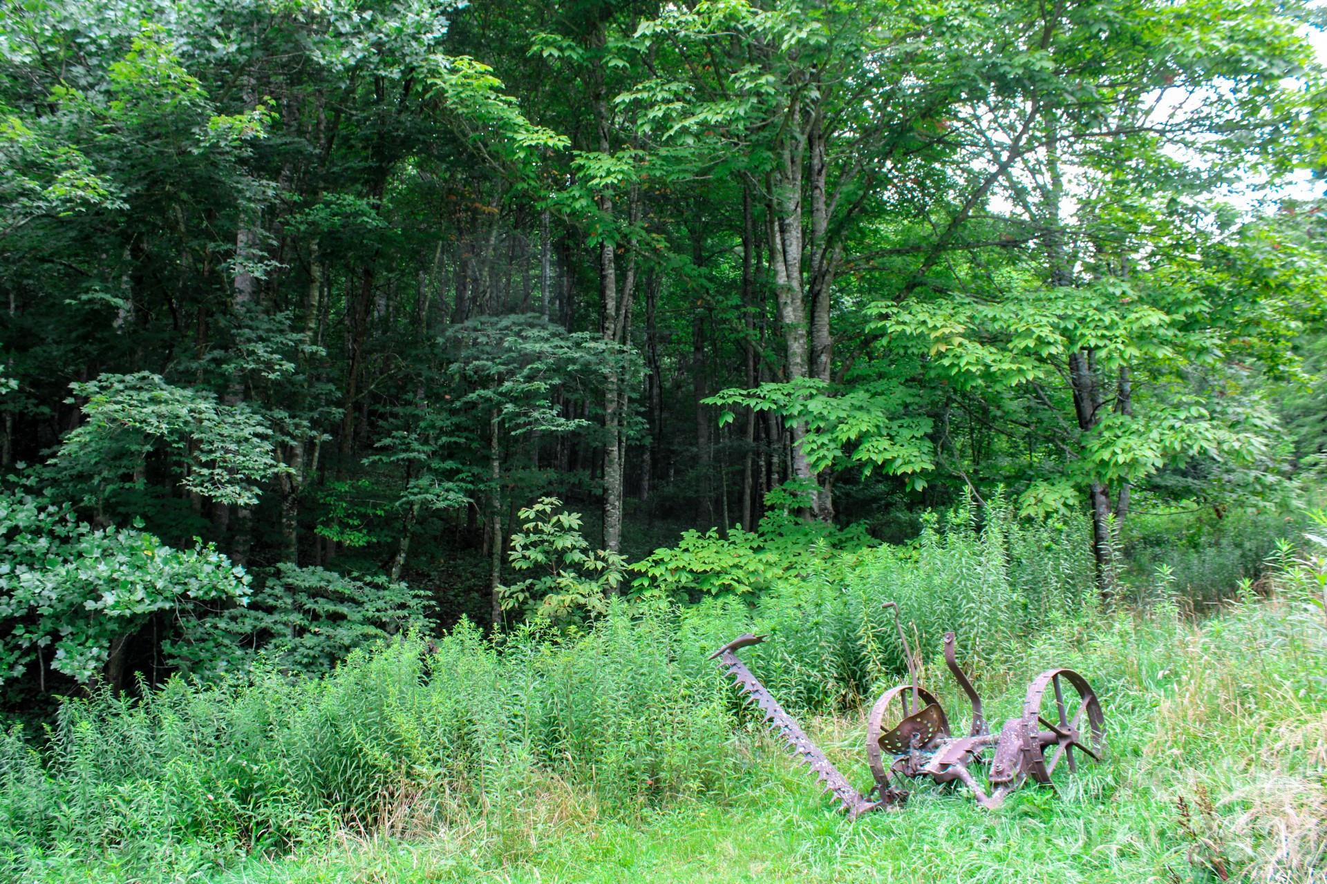 3454 Puncheon Fork Road