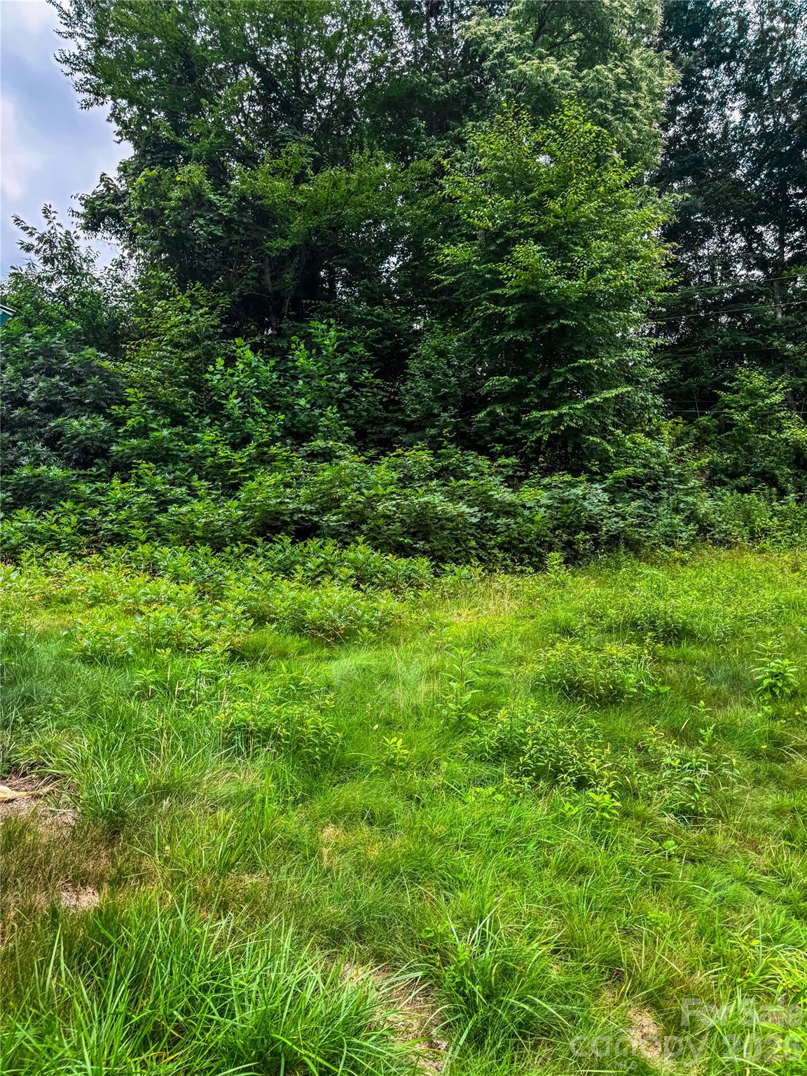 3454 Puncheon Fork Road