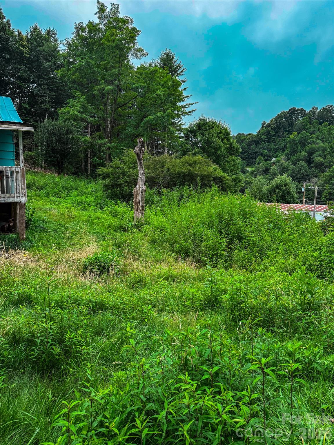 3454 Puncheon Fork Road
