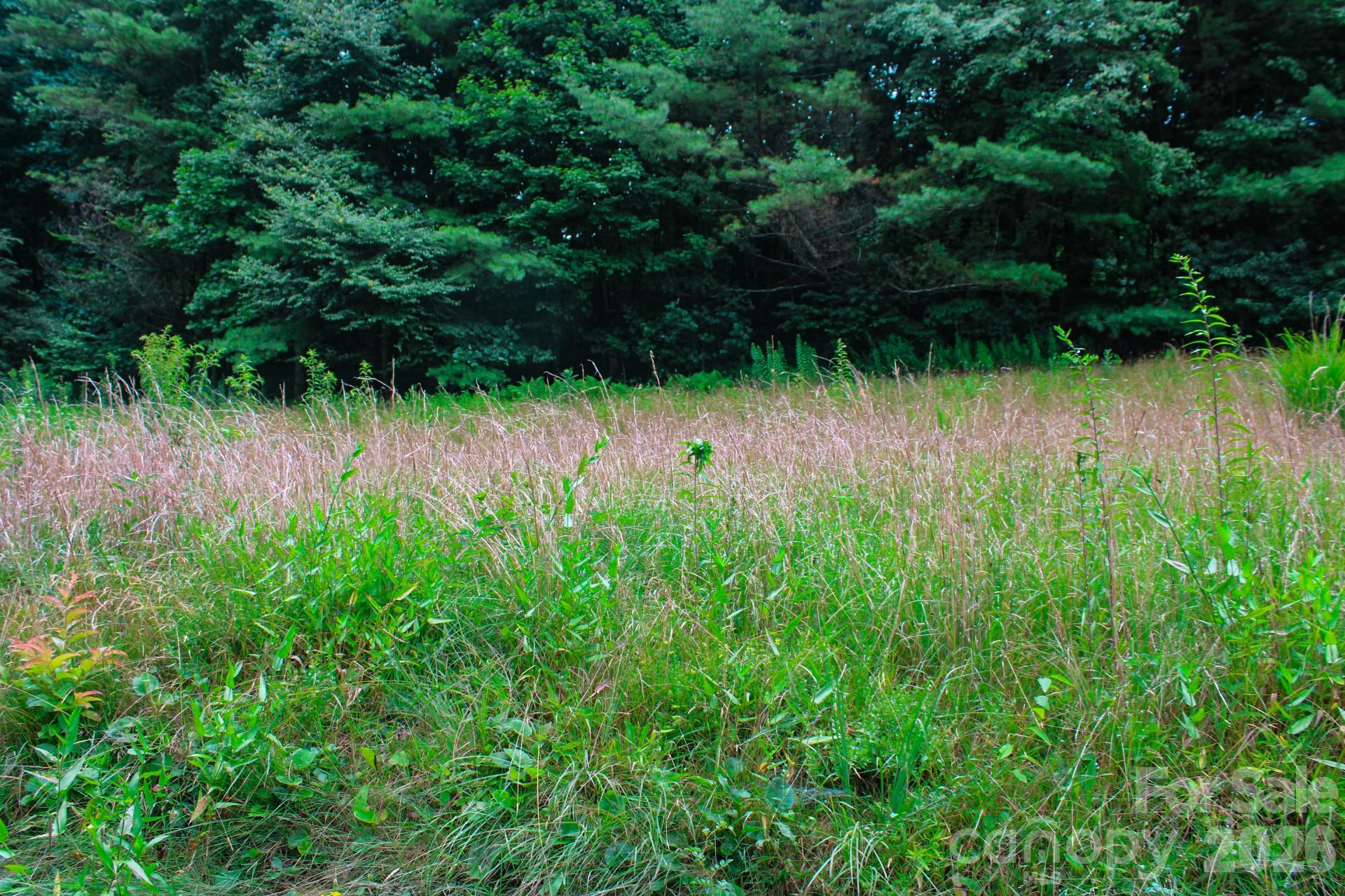 3454 Puncheon Fork Road
