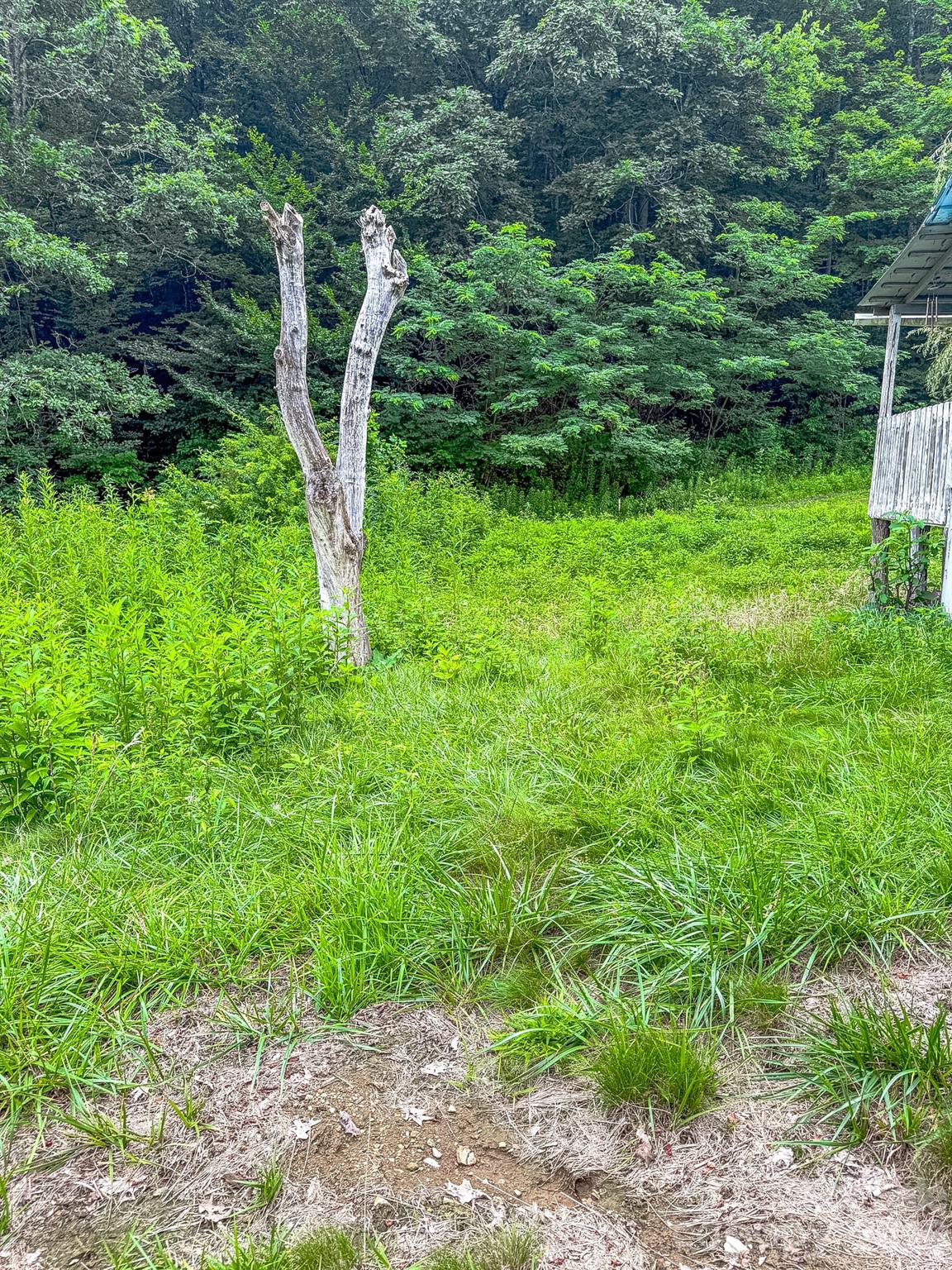 3454 Puncheon Fork Road