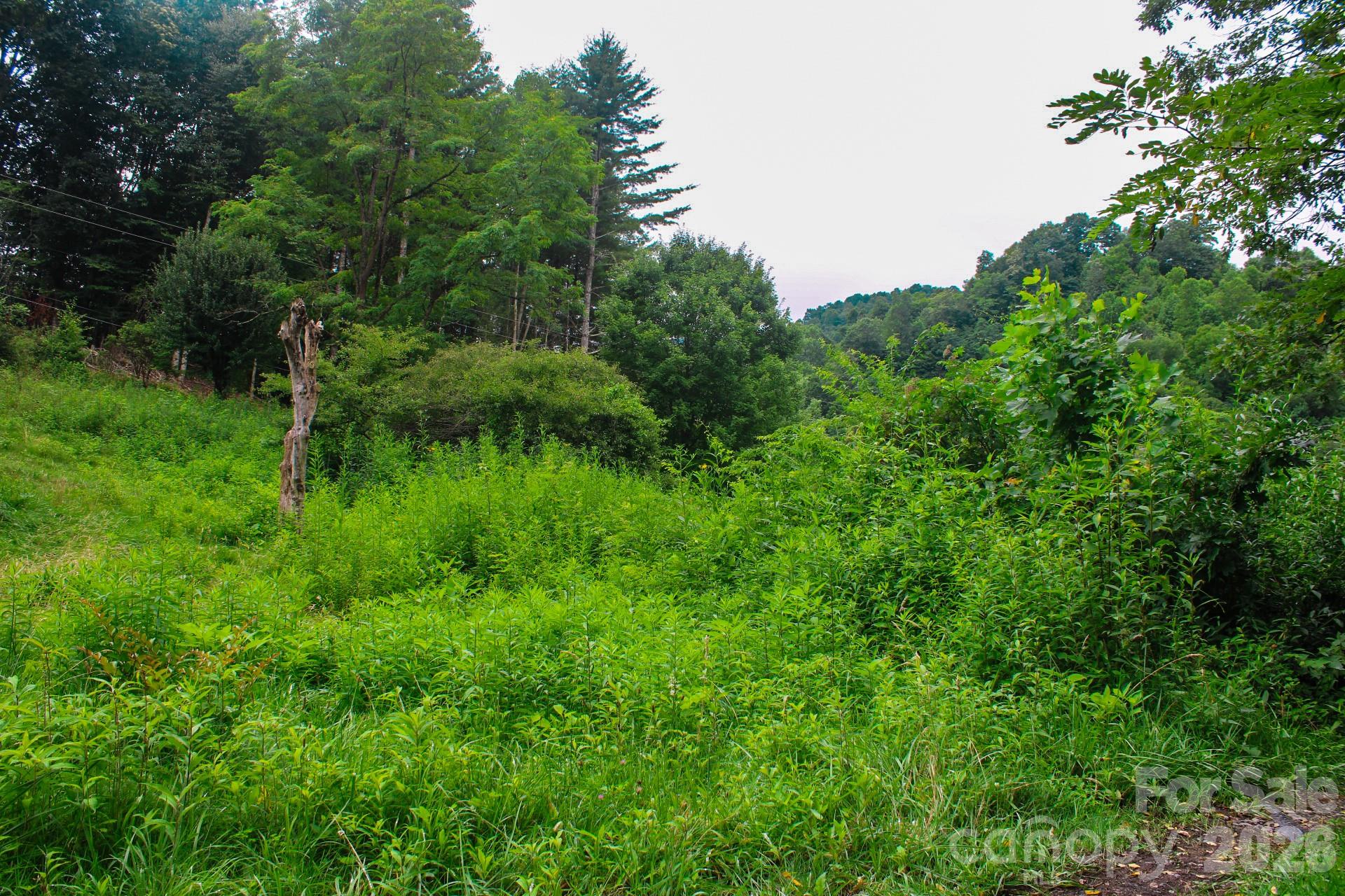 3454 Puncheon Fork Road